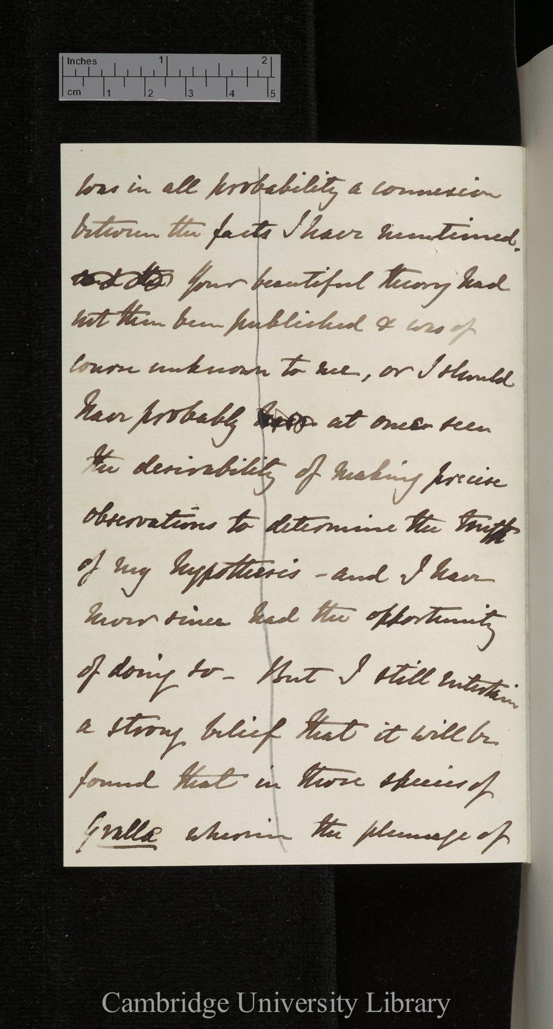 Alfred Newton to Charles Robert Darwin