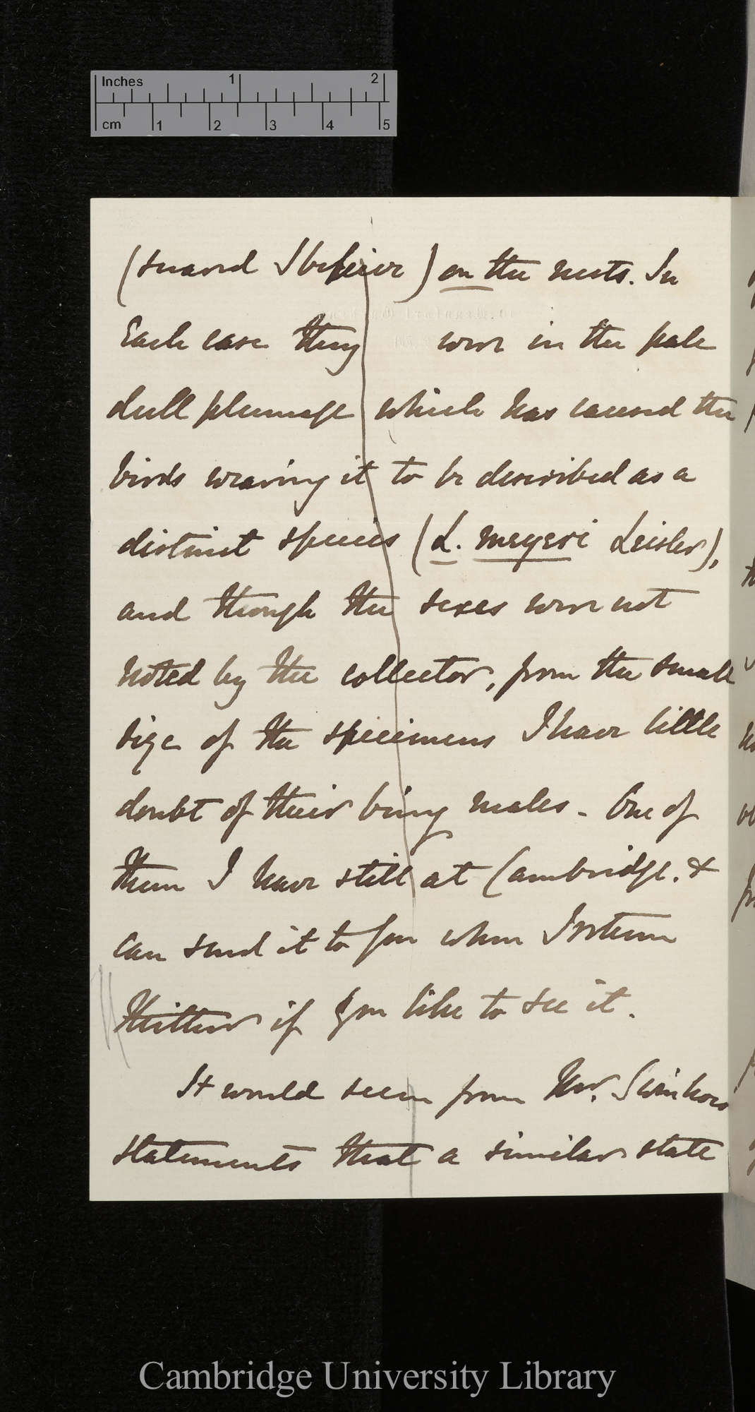 Alfred Newton to Charles Robert Darwin