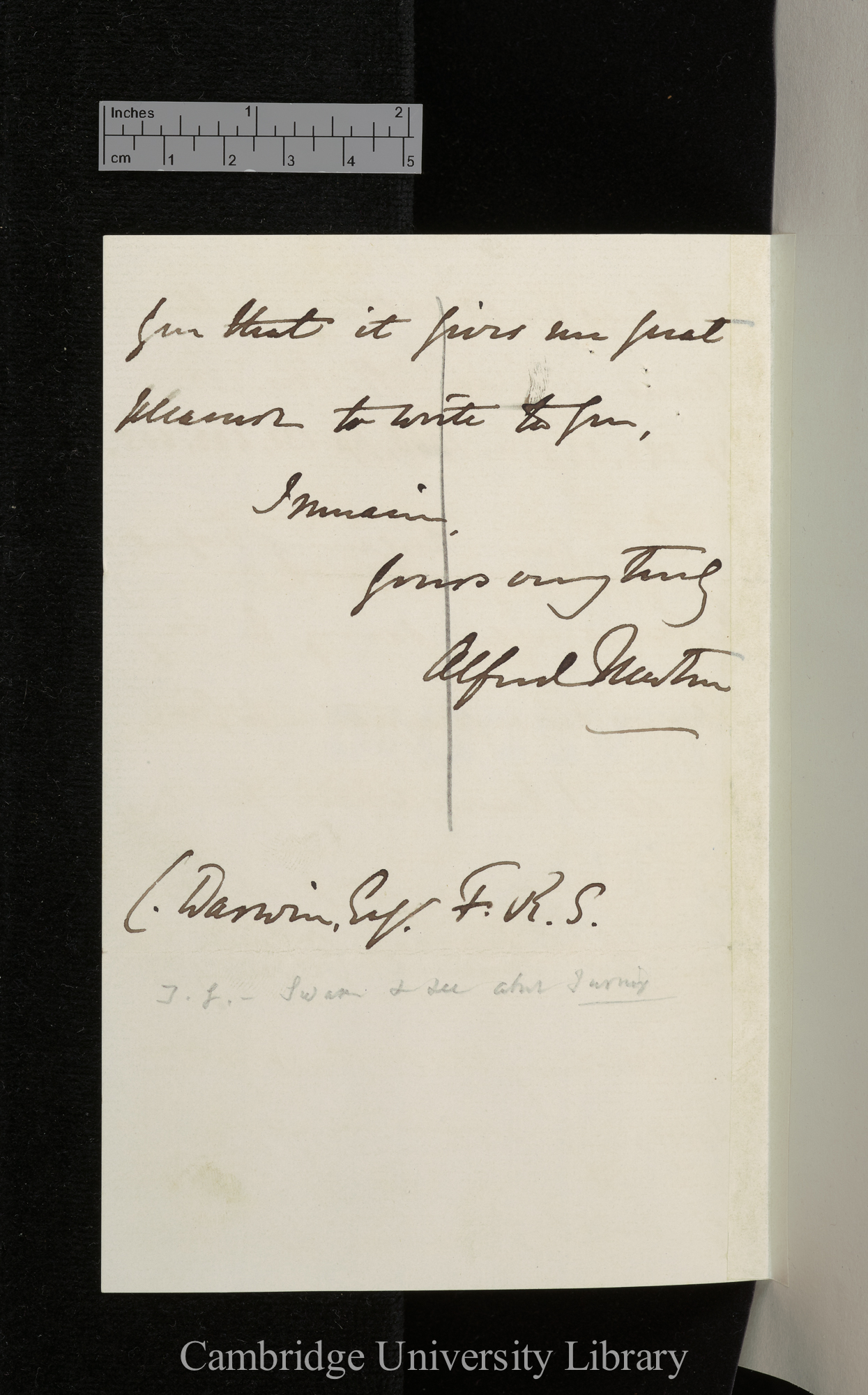 Alfred Newton to Charles Robert Darwin