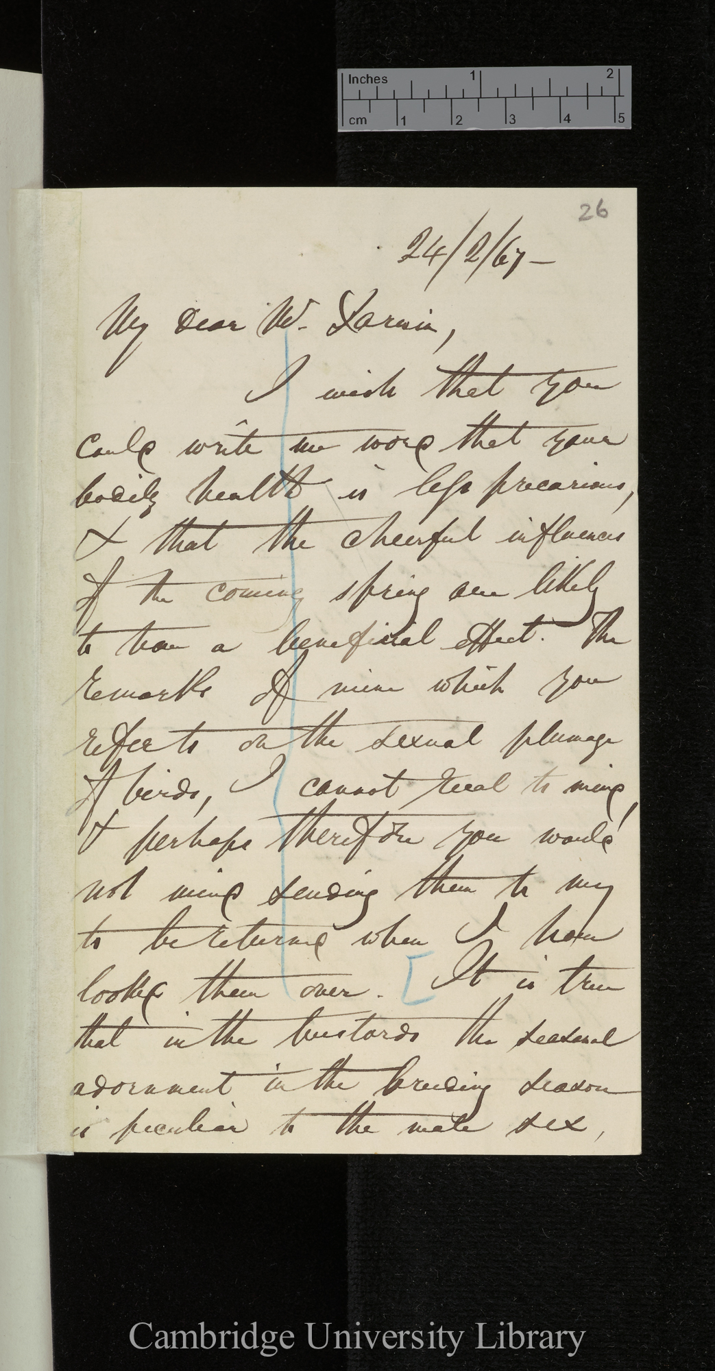 [Edward Blyth] to Charles Robert Darwin;