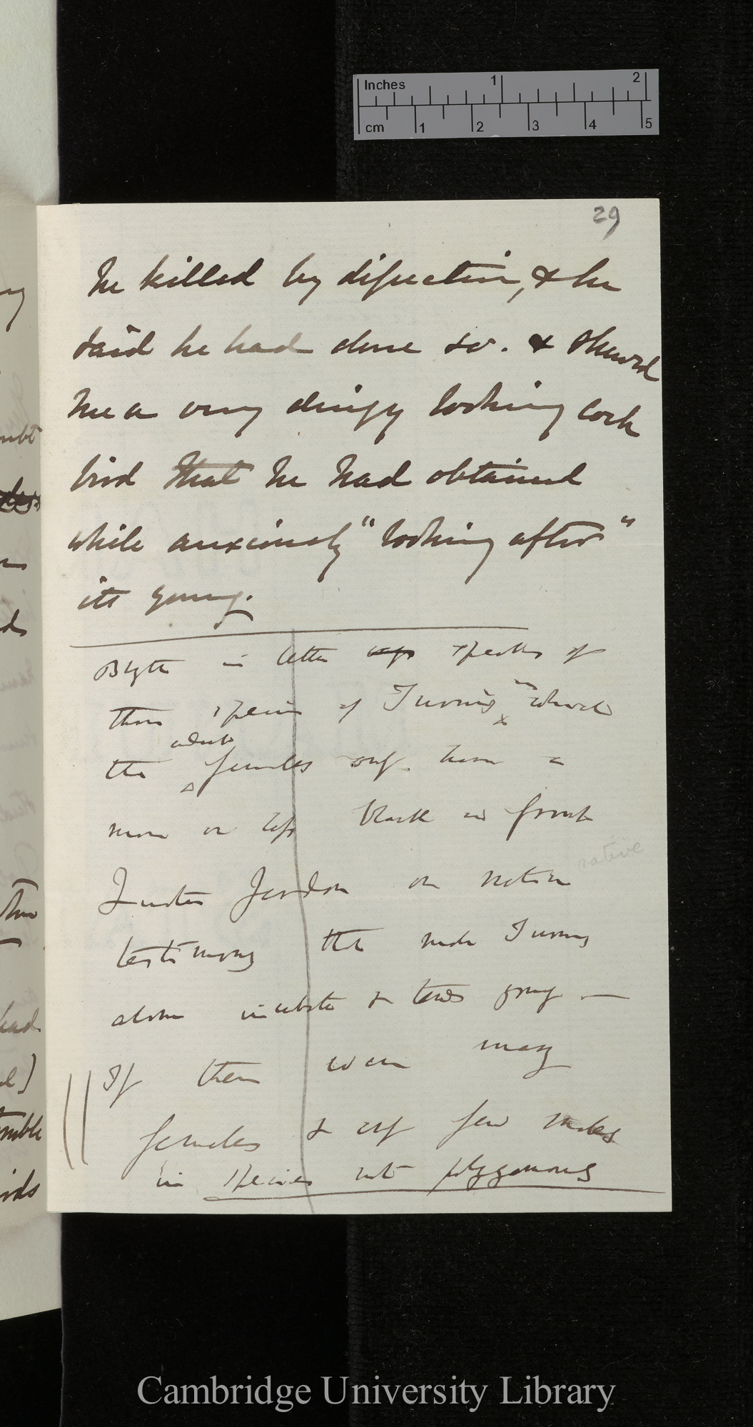 Alfred Newton to Charles Robert Darwin