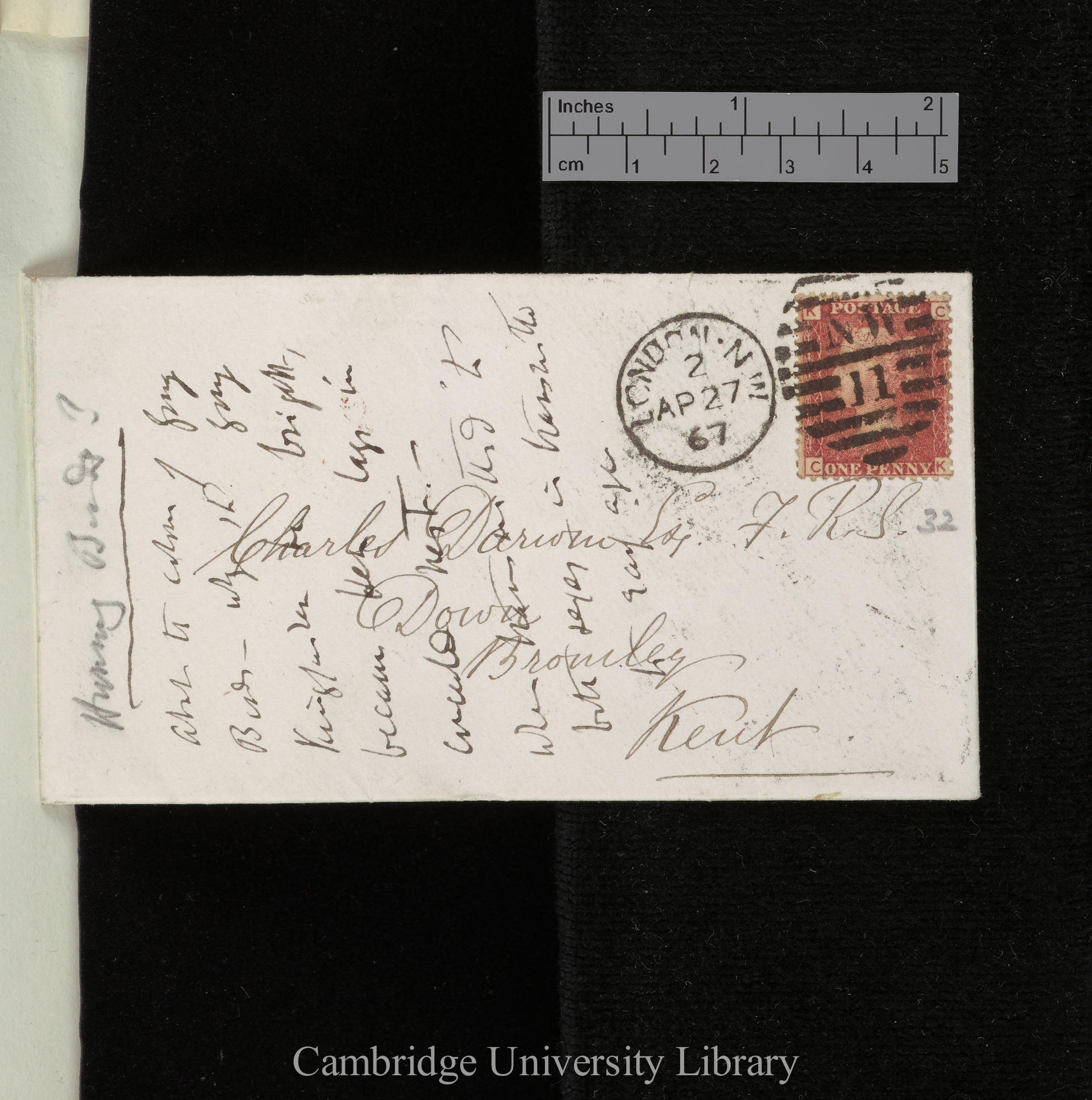 Alfred Russel Wallace to Charles Robert Darwin [envelope]