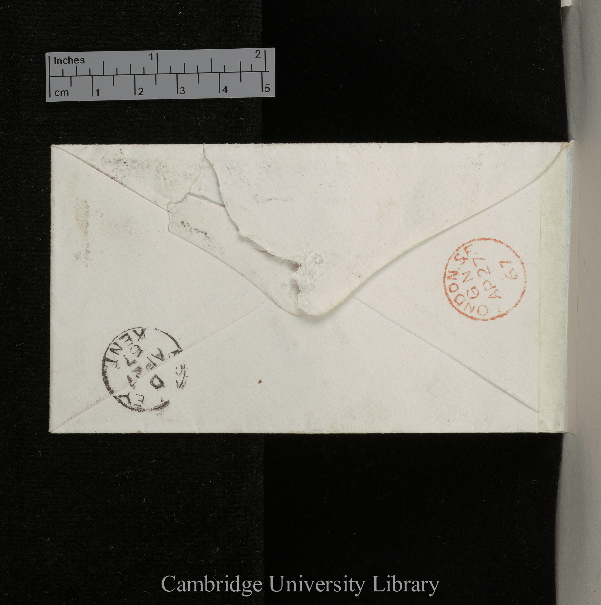 Alfred Russel Wallace to Charles Robert Darwin [envelope]