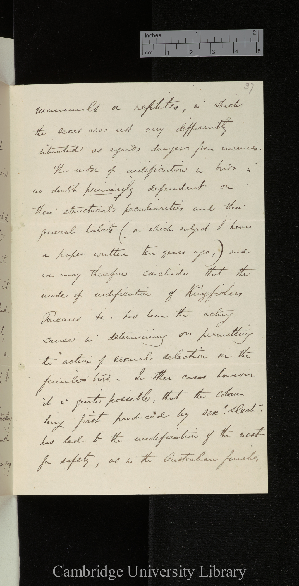 Alfred Russel Wallace to Charles Robert Darwin