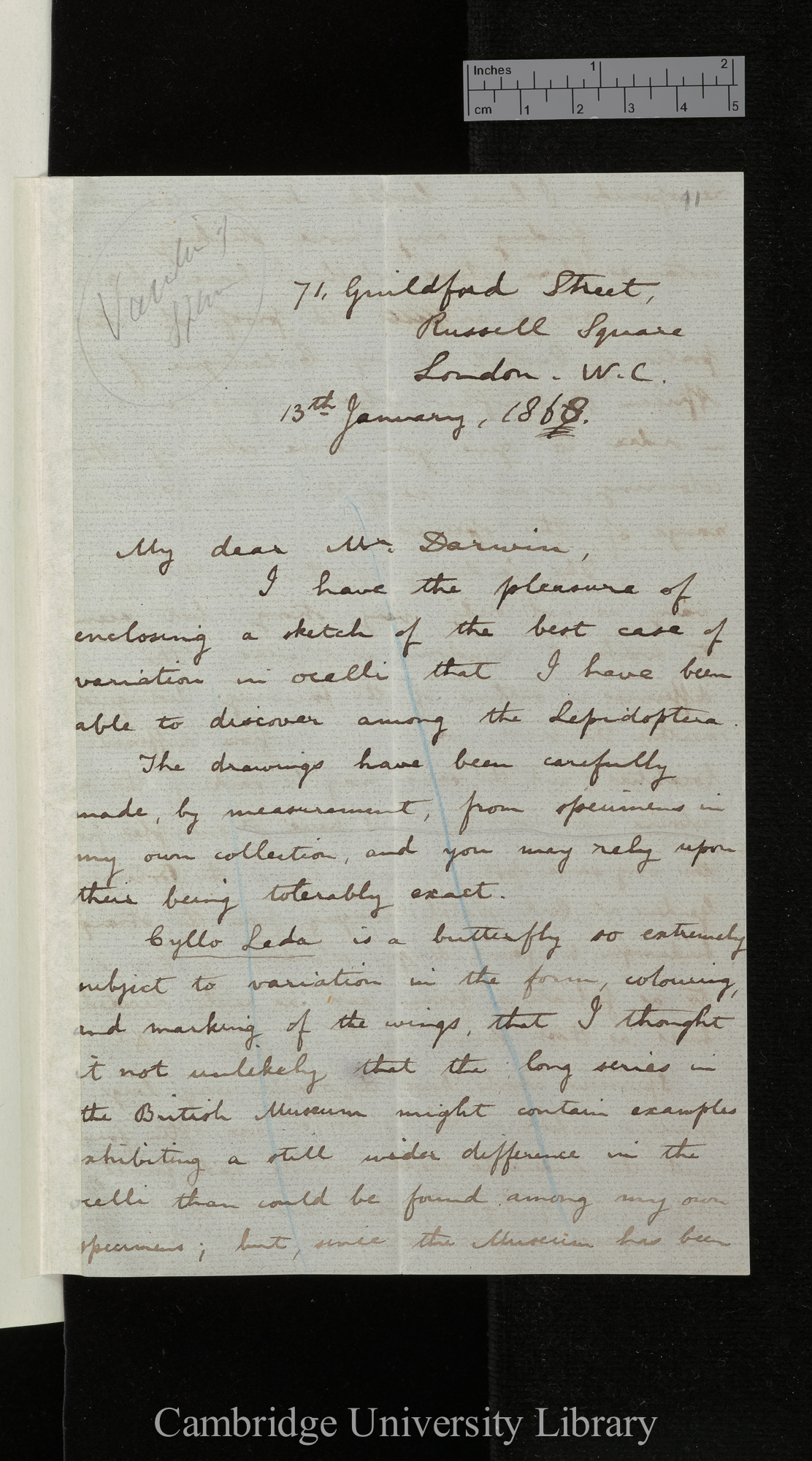 Roland Trimen to Charles Robert Darwin