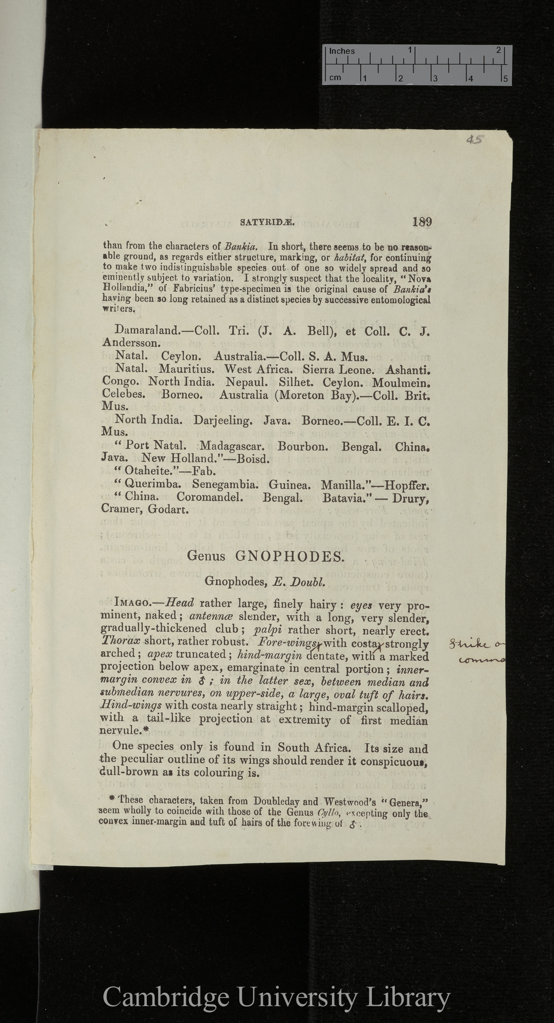 Rhopalocera africae australis: Satyridae &#39;[source unknown]&#39;: 189