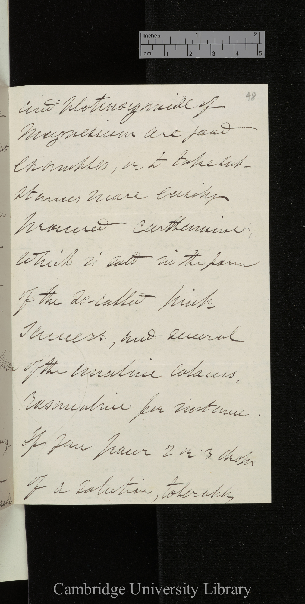 George Gabriel Stokes to Charles Robert Darwin