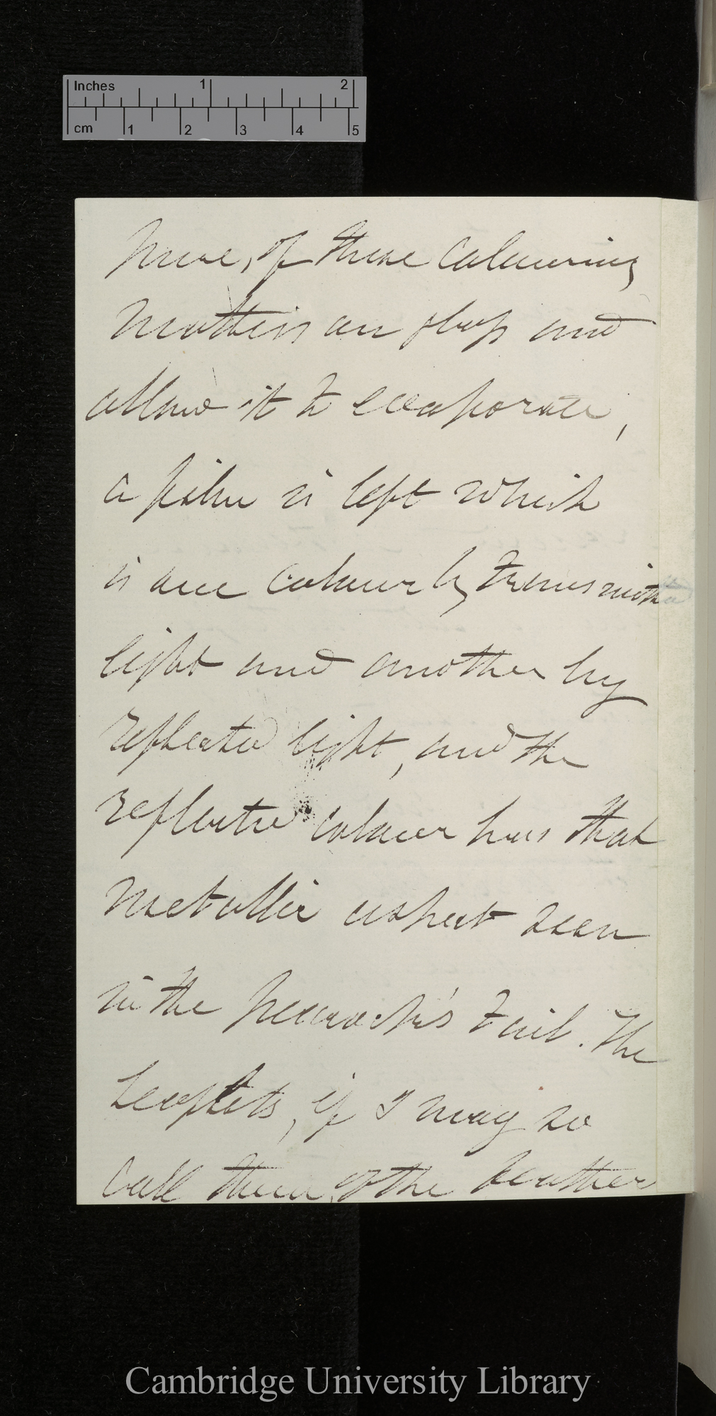 George Gabriel Stokes to Charles Robert Darwin