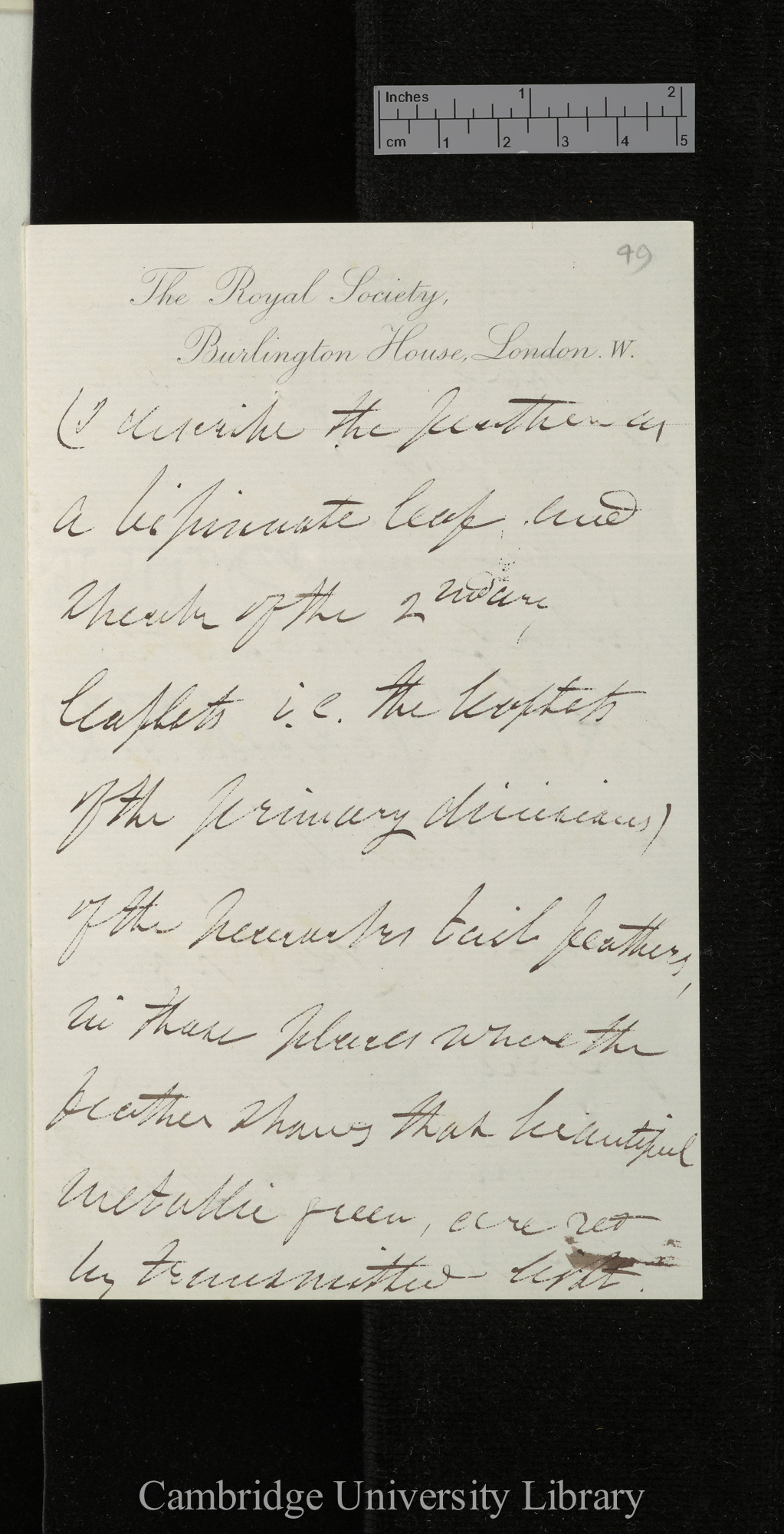 George Gabriel Stokes to Charles Robert Darwin