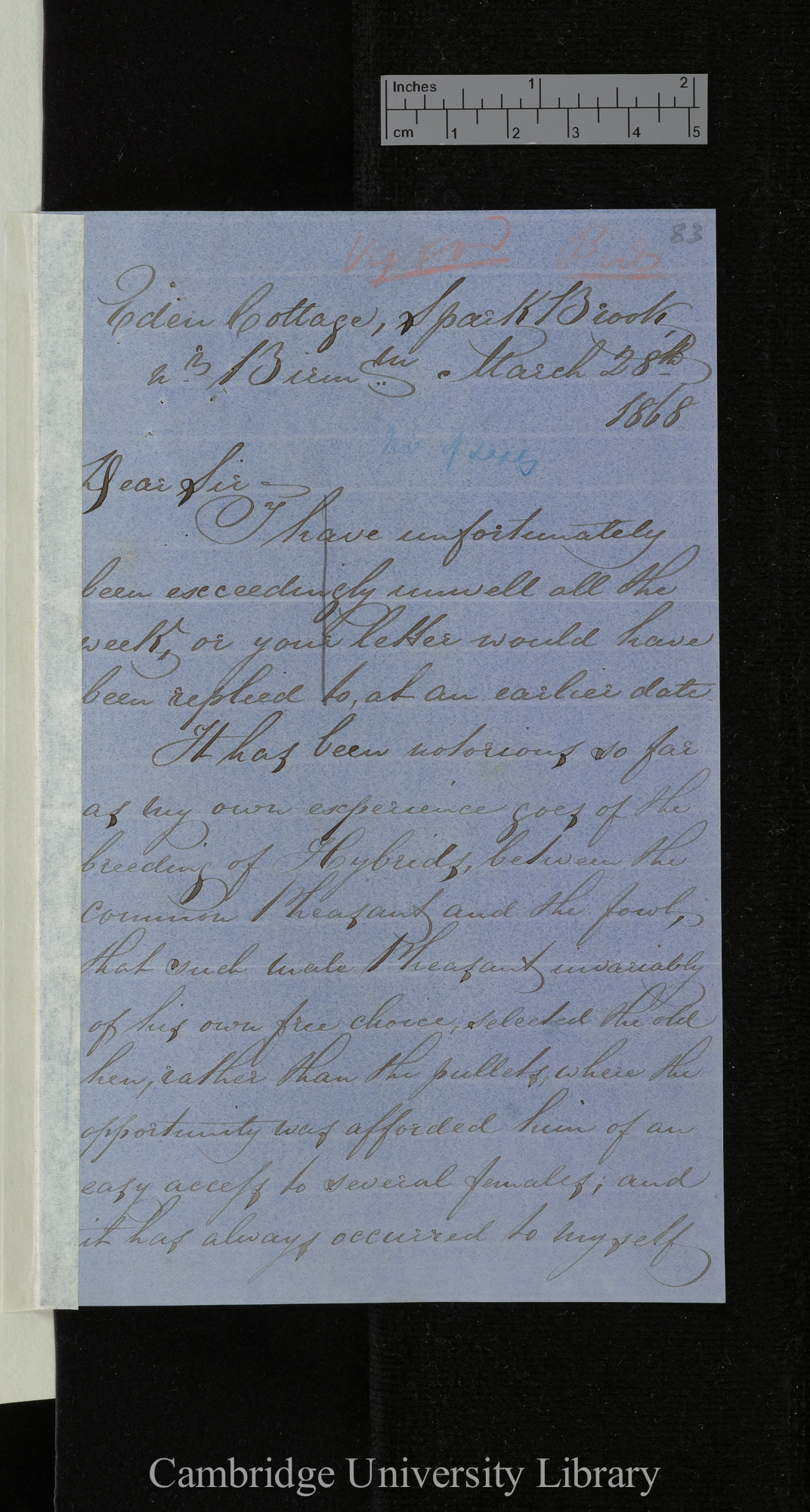 Edward Hewitt to Charles Robert Darwin