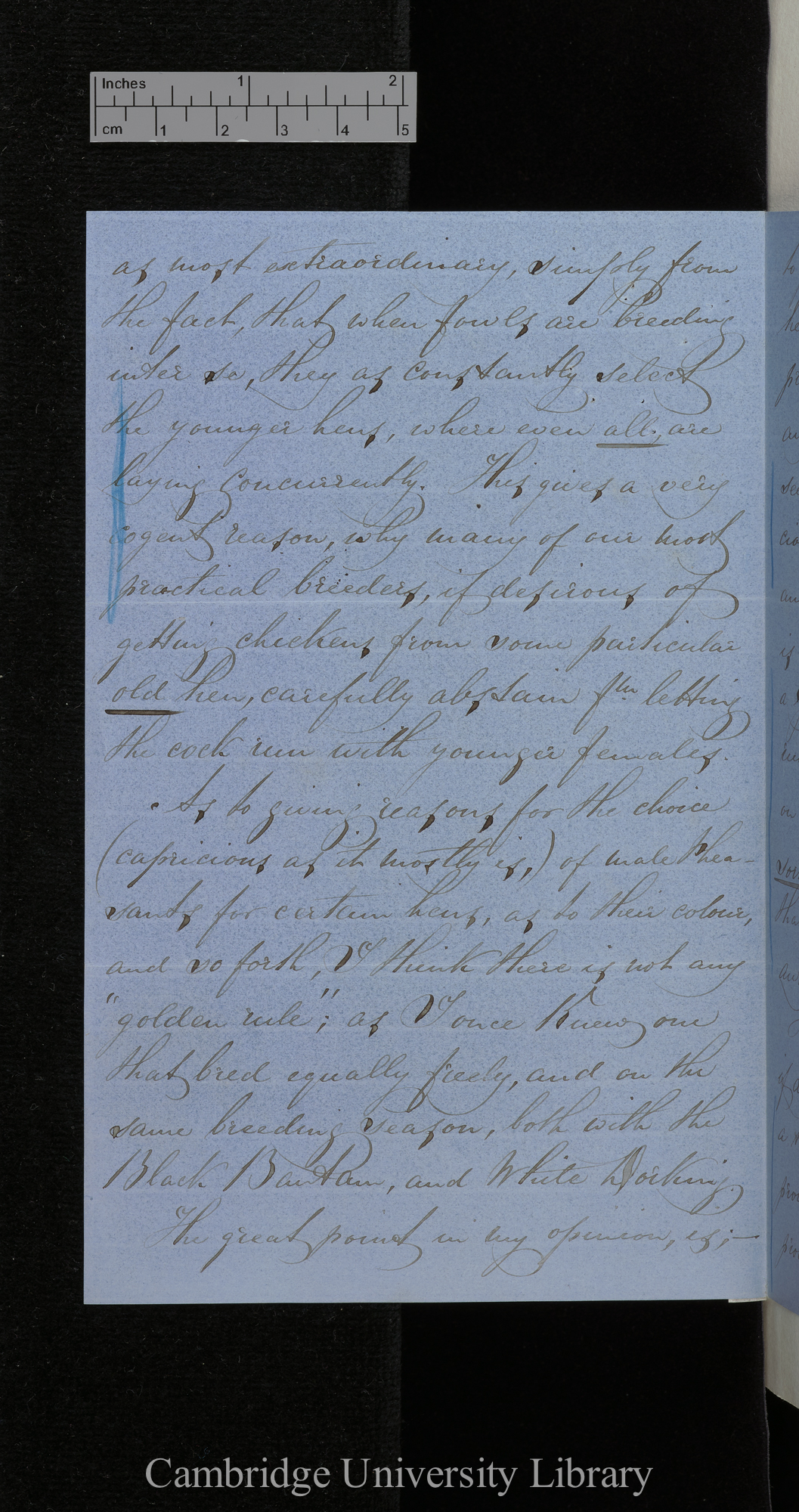 Edward Hewitt to Charles Robert Darwin