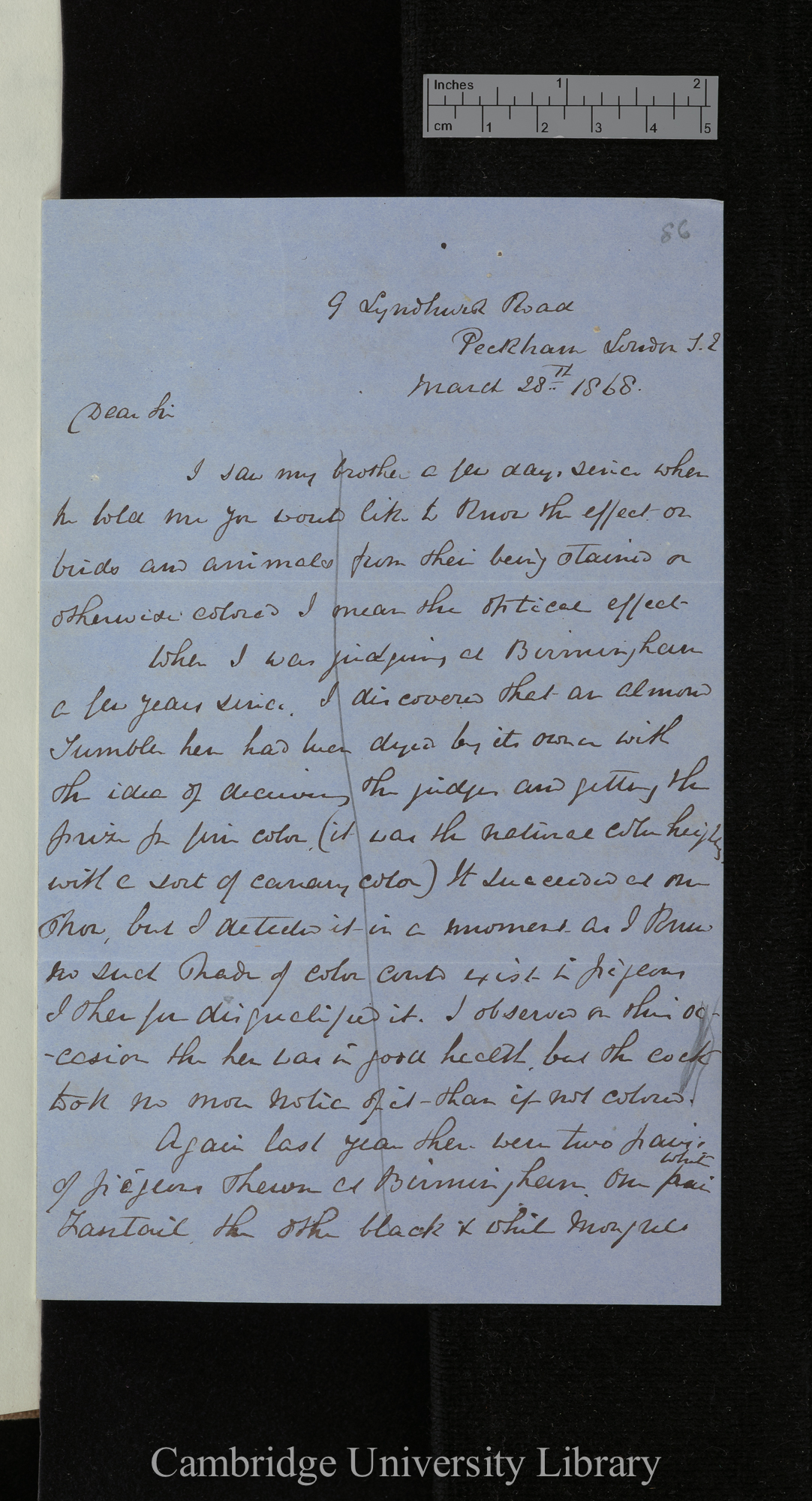 Harrison William Weir to Charles Robert Darwin