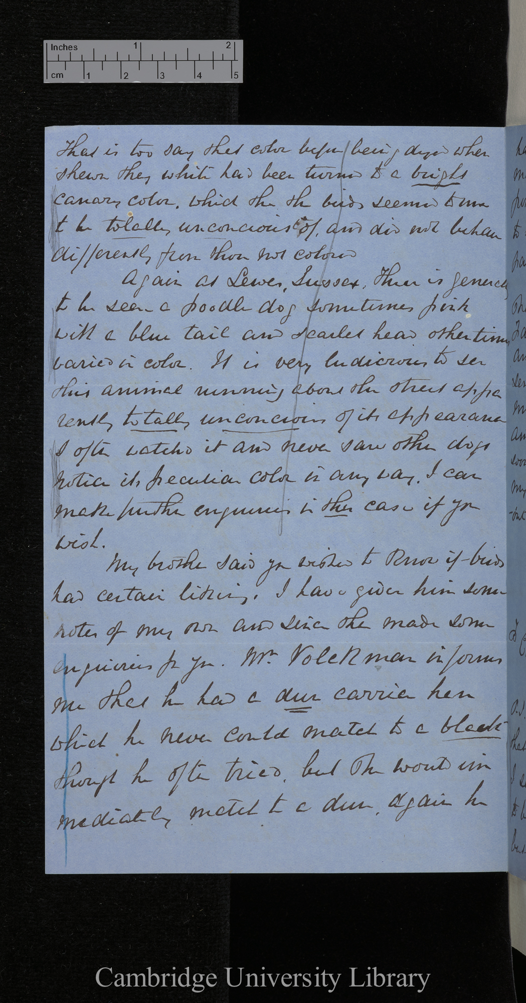 Harrison William Weir to Charles Robert Darwin