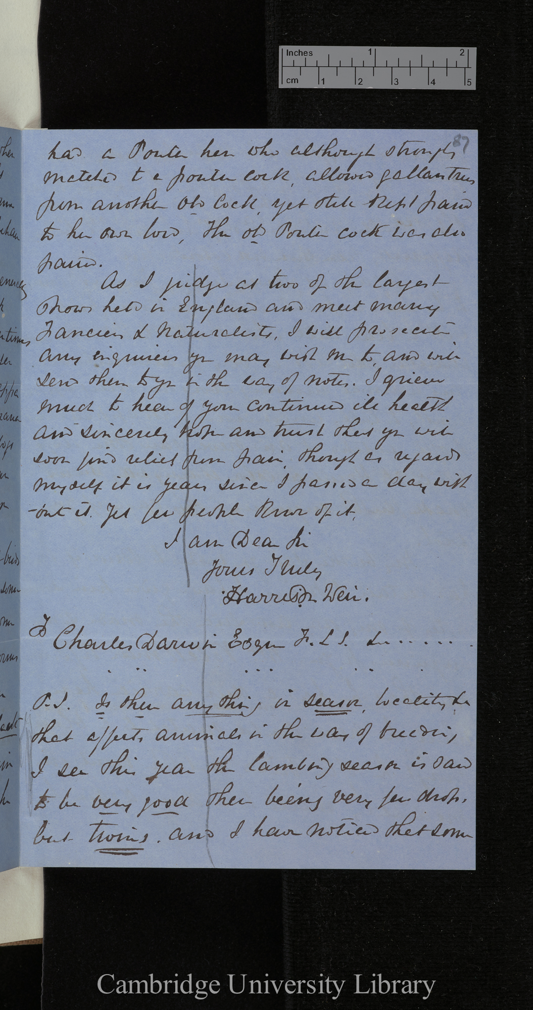 Harrison William Weir to Charles Robert Darwin