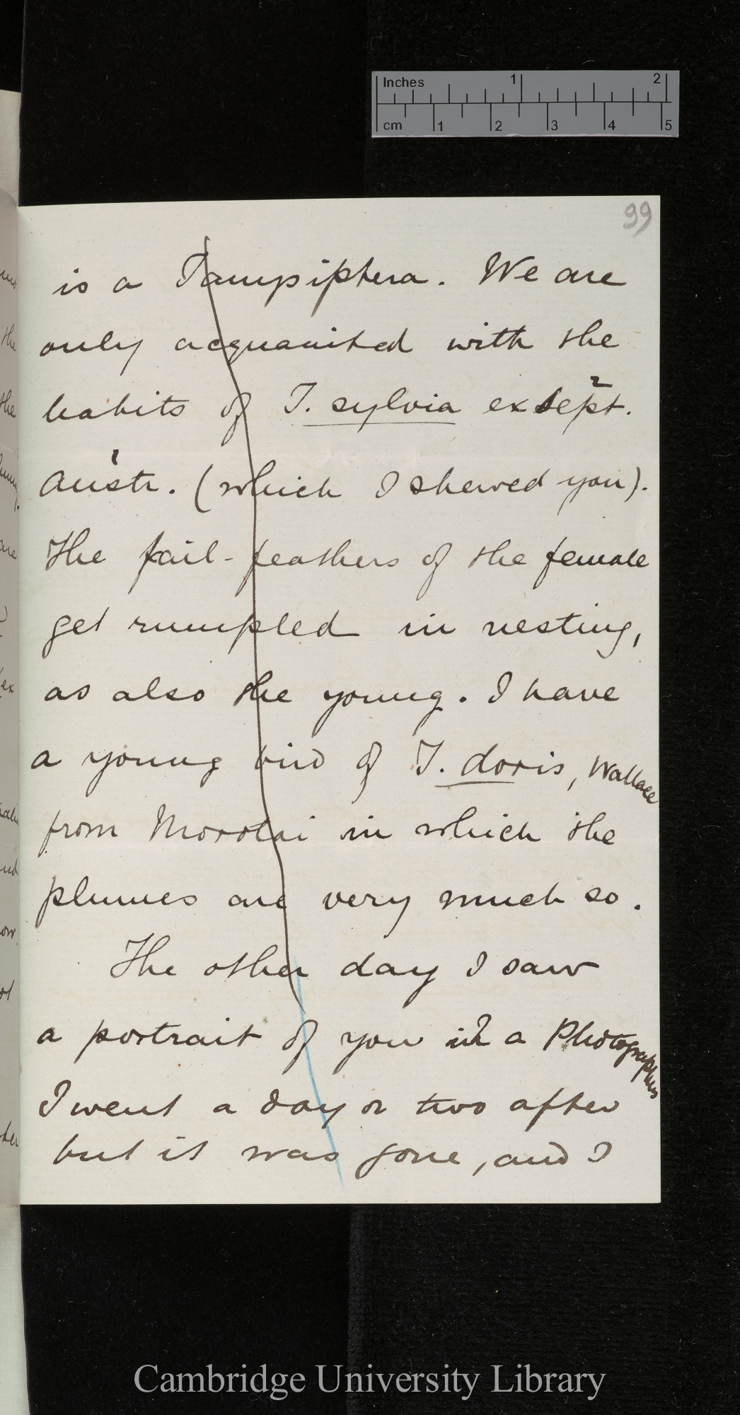 Richard Bowdler Sharpe to Charles Robert Darwin