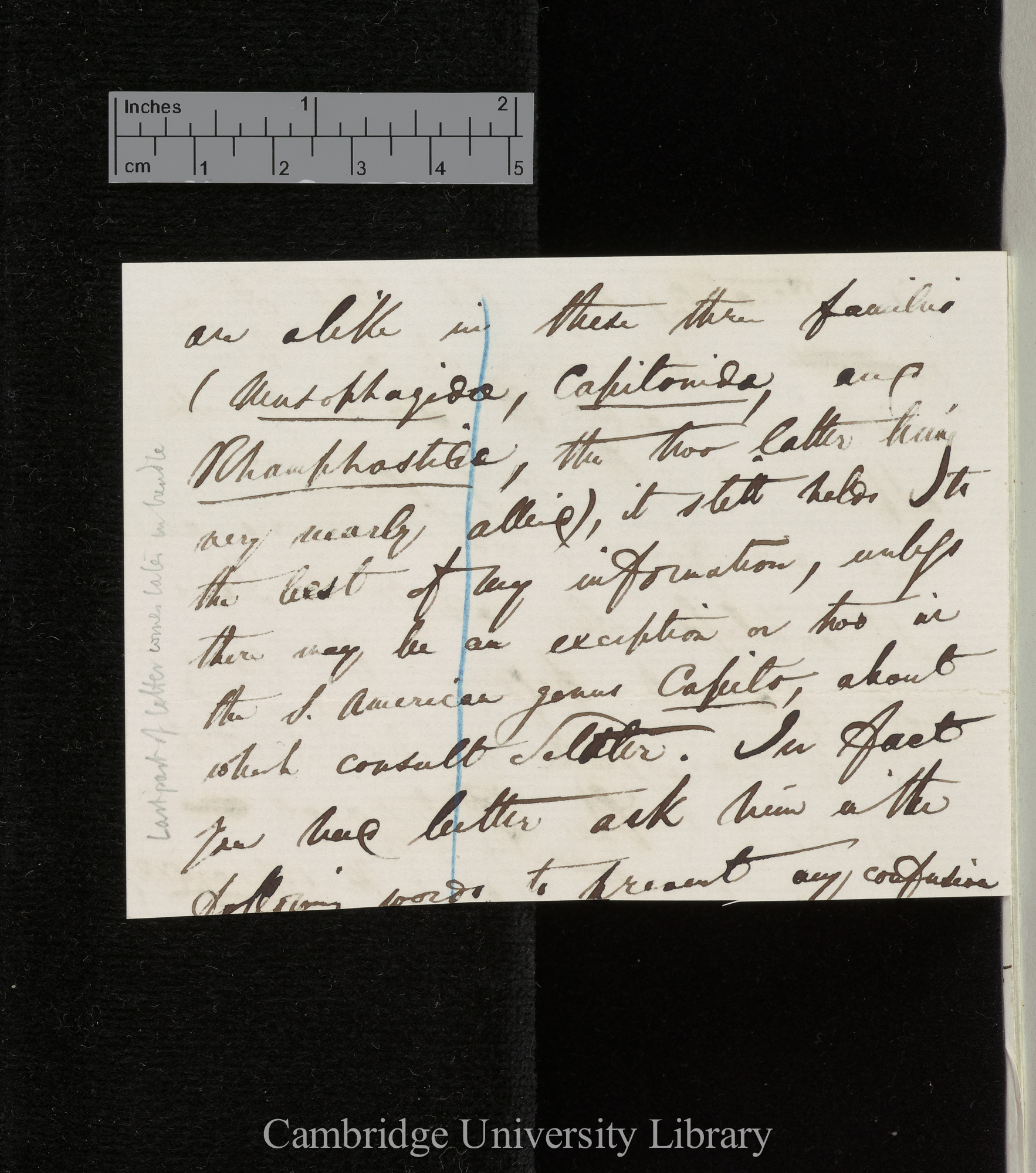 Edward Blyth to Charles Robert Darwin