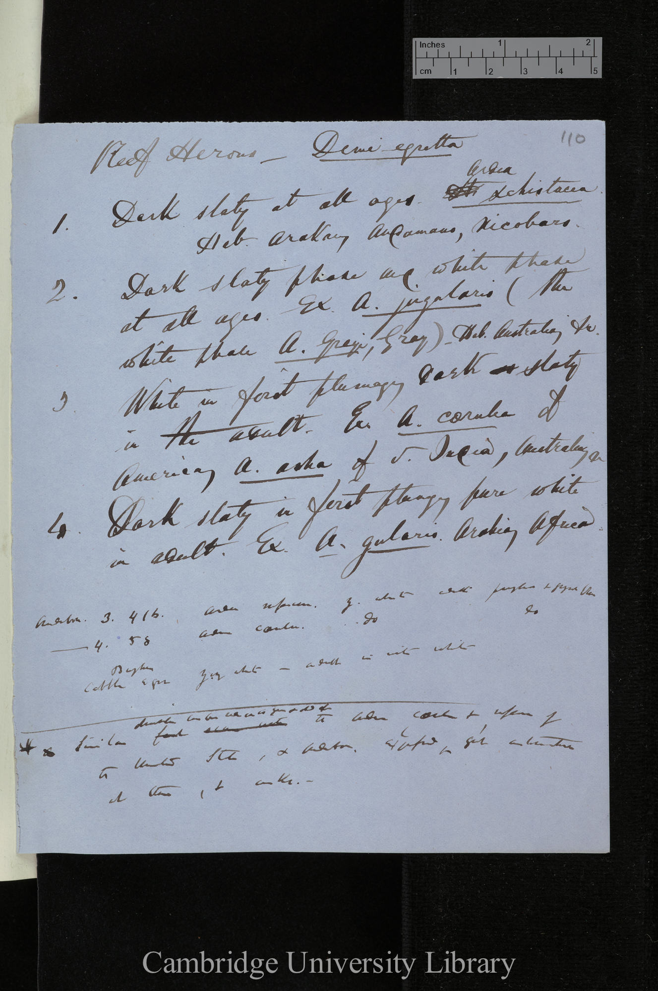 Letter from [Edward Blyth] to Charles Robert Darwin; written at [place unstated]; memo