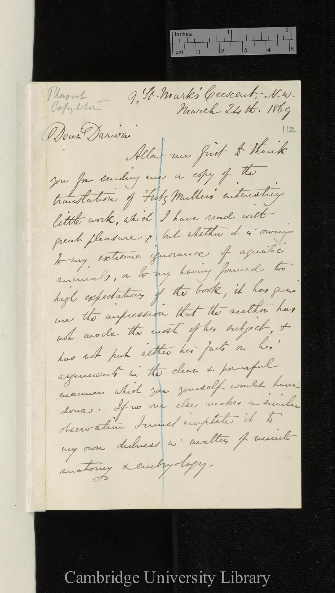 Alfred Russel Wallace to Charles Robert Darwin