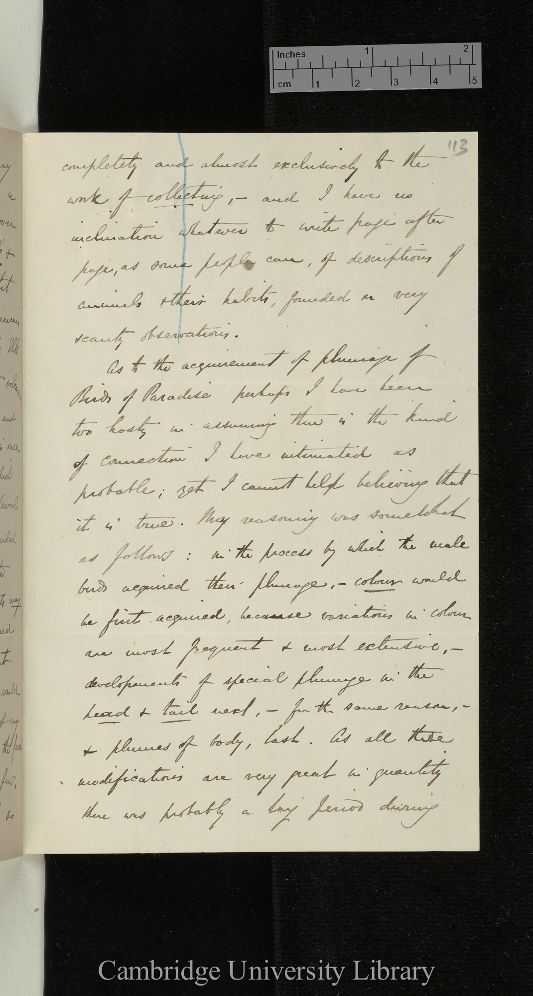 Alfred Russel Wallace to Charles Robert Darwin