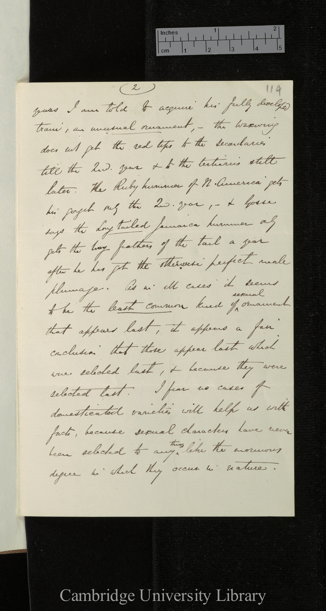 Alfred Russel Wallace to Charles Robert Darwin