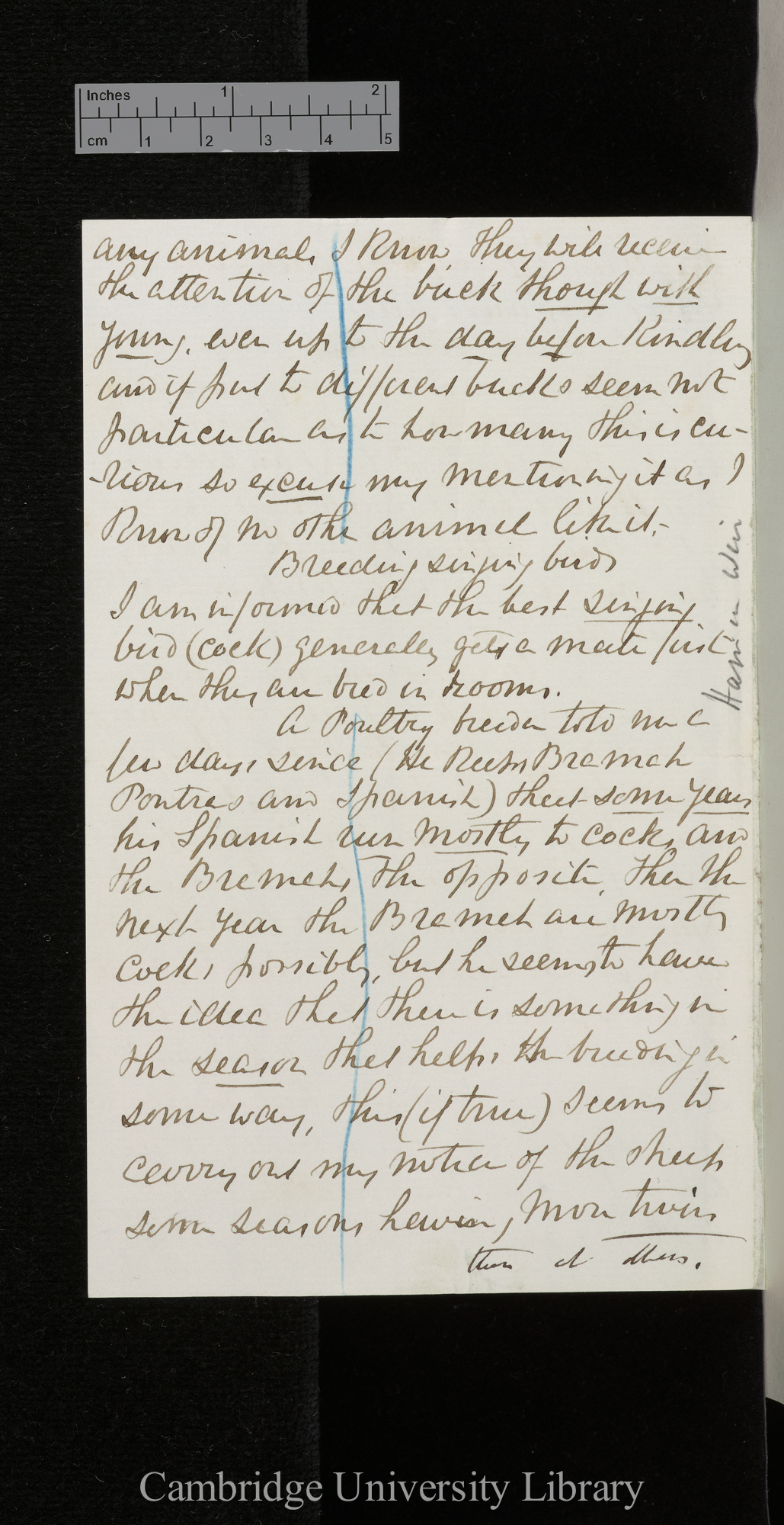 [Harrison William Weir] to Charles Robert Darwin