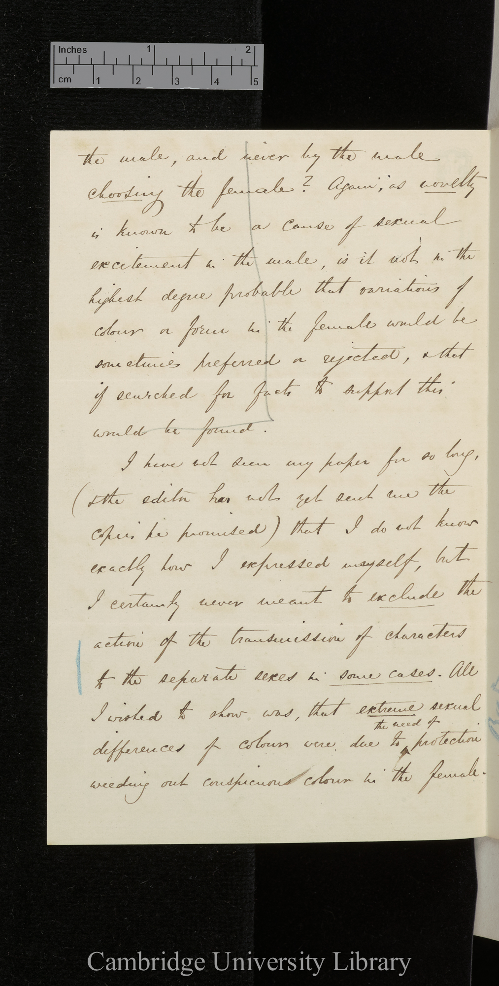 Alfred Russel Wallace to Charles Robert Darwin