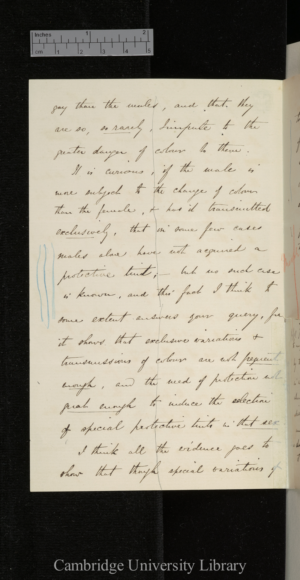 Alfred Russel Wallace to Charles Robert Darwin