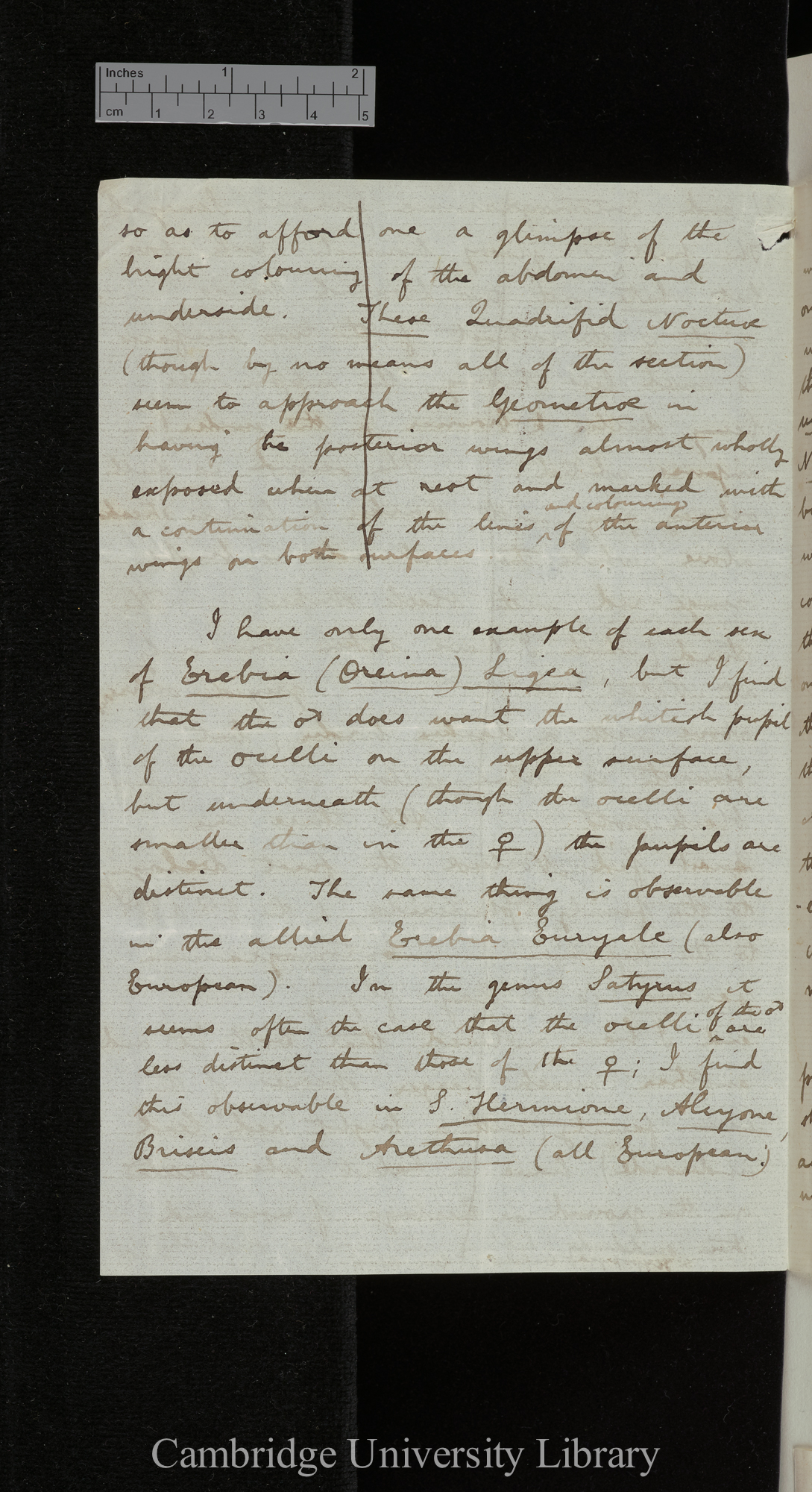 Roland Trimen to Charles Robert Darwin