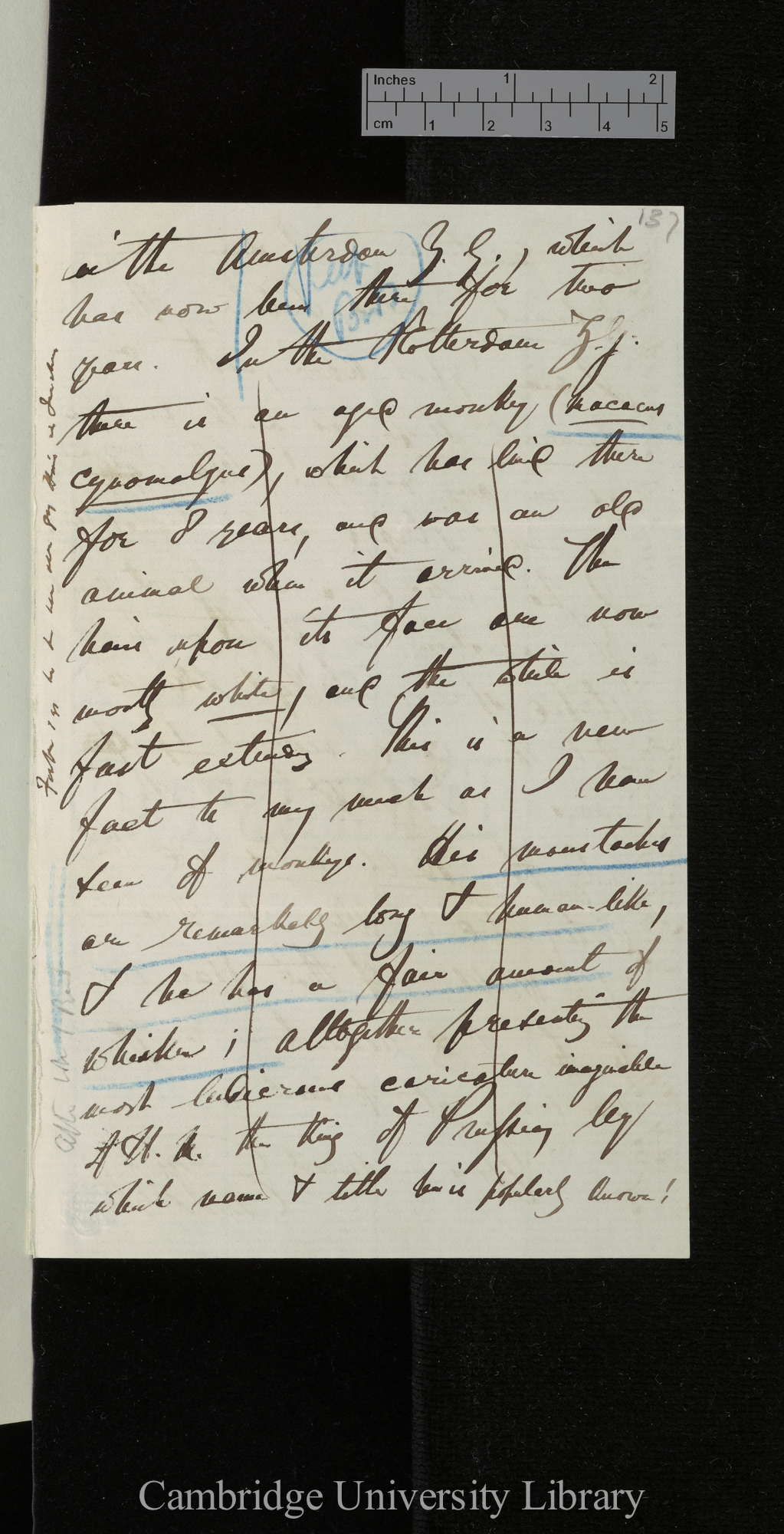 Edward Blyth to Charles Robert Darwin