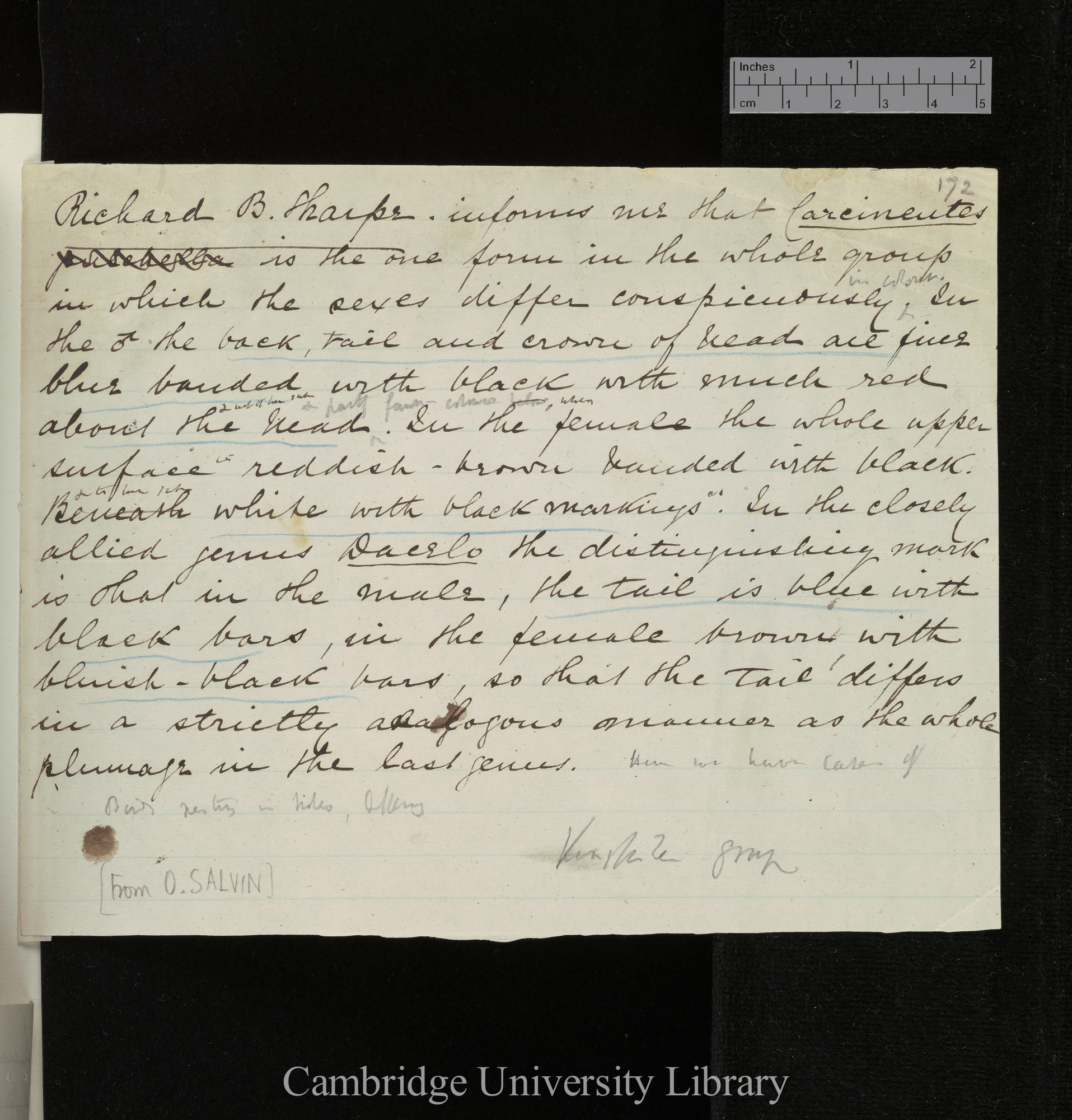 Osbert Salvin to Charles Robert Darwin