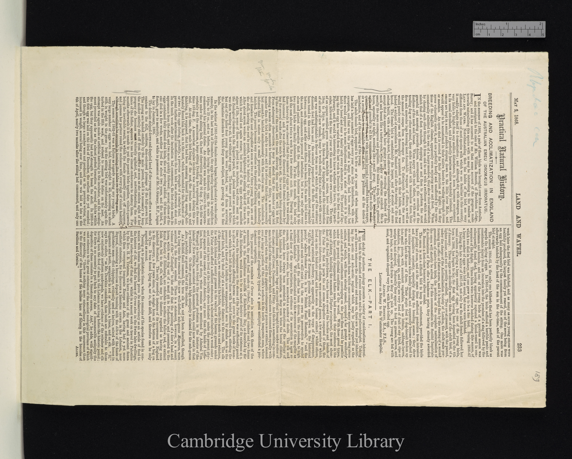 Bennett, Alfred William. Breeding and acclimatization in England &#39;Land and Water&#39;: 233