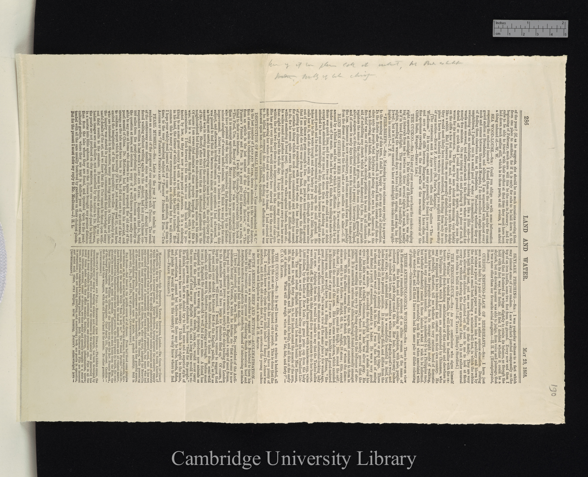 [Bartlett, Abraham Dee]. Arrivals at the Zoological Gardens &#39;Land and Water&#39;: 285