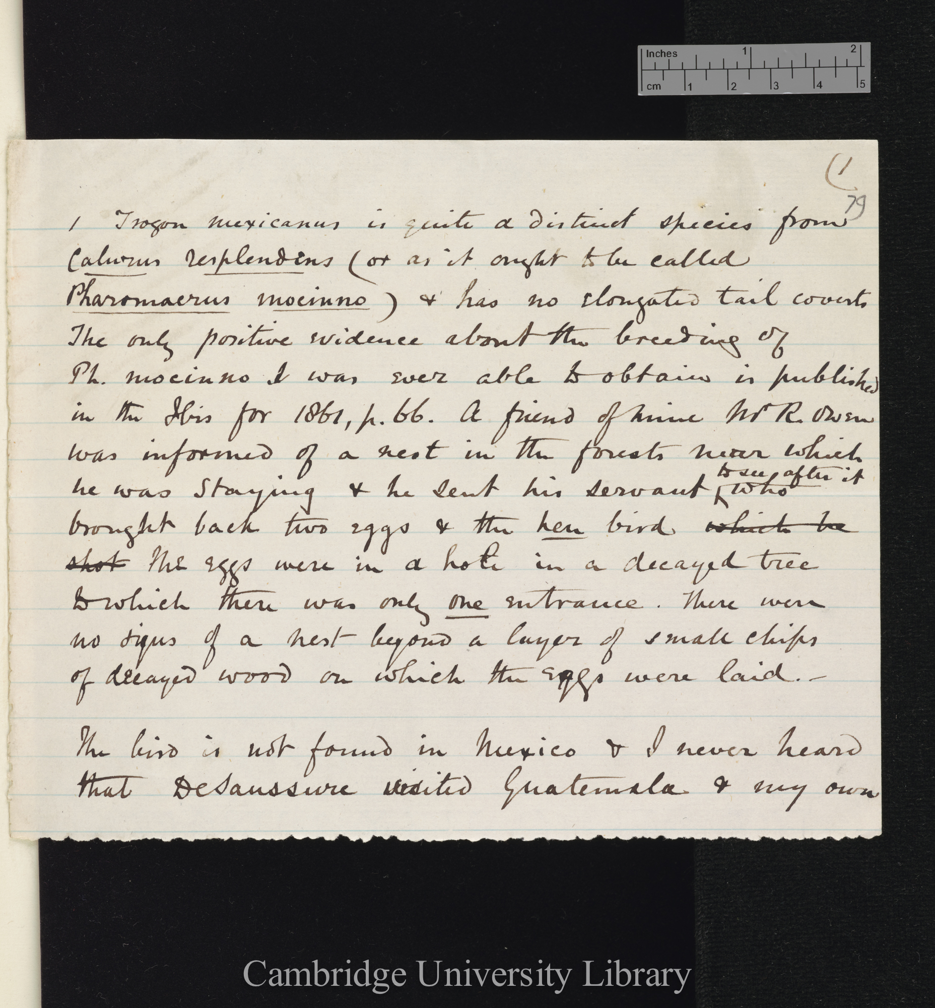 Osbert Salvin to Charles Robert Darwin