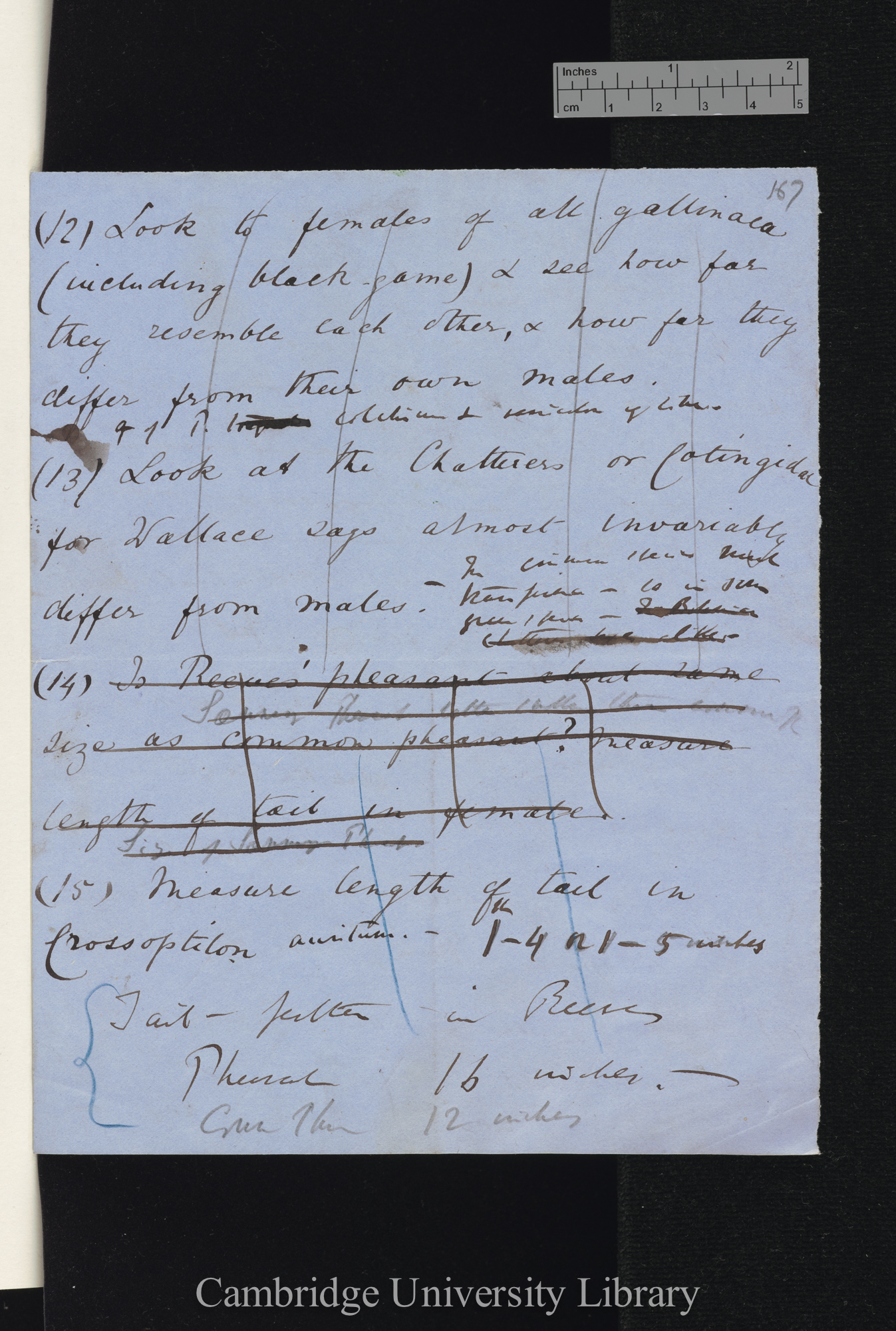 [queries [and answers? by Bartlett?] concerning sexual differences in plumage of birds] nos 12-15