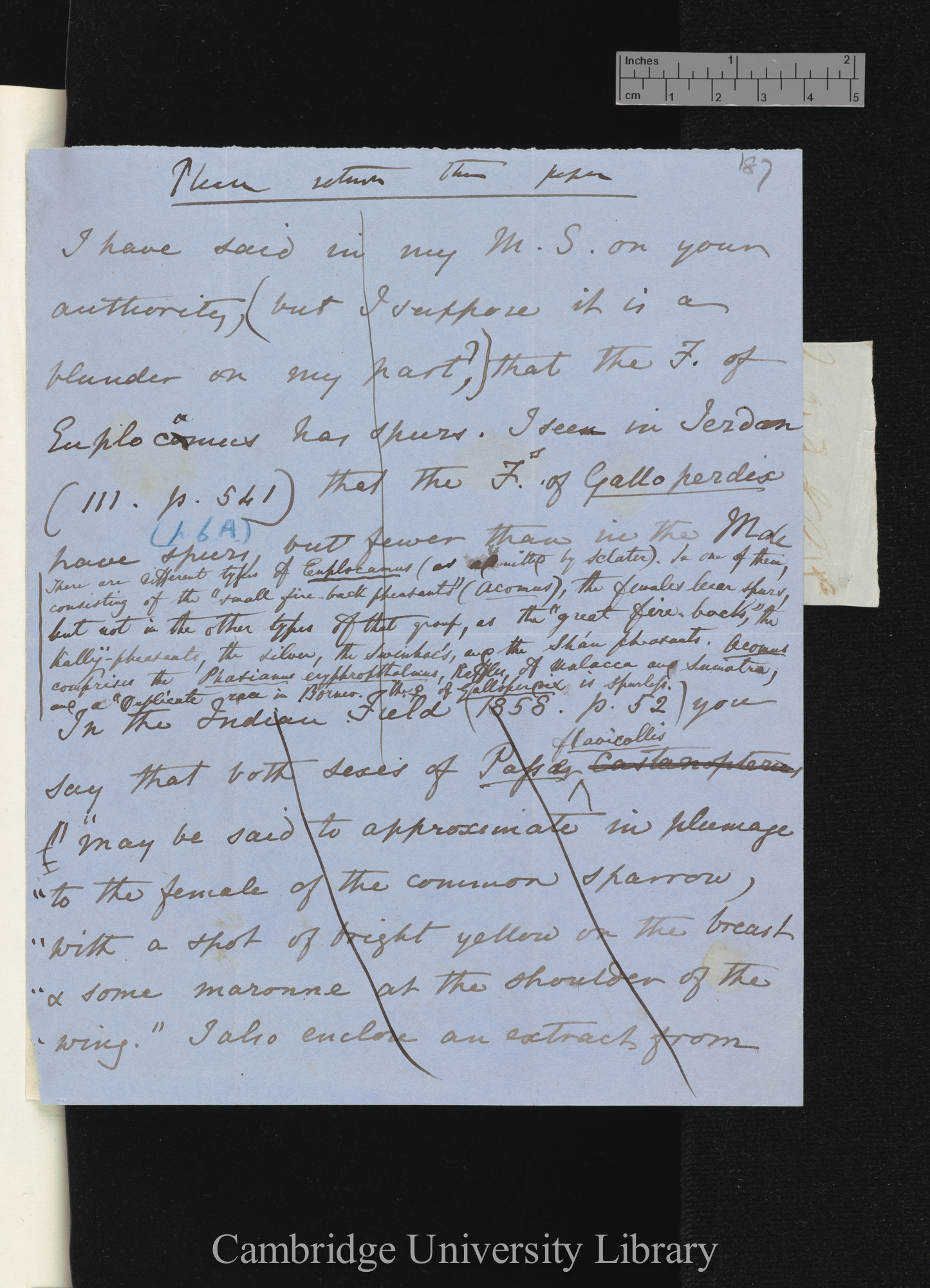 Charles Robert Darwin to Edward Blyth