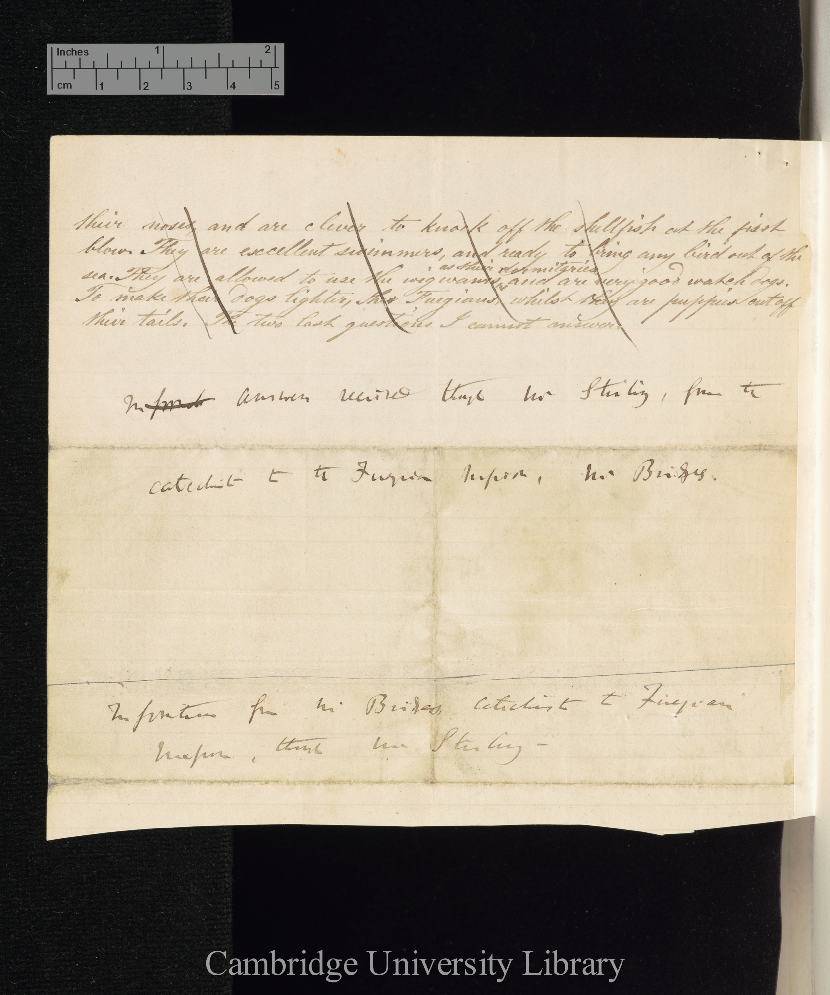 [Thomas Bridges] to Charles Robert Darwin