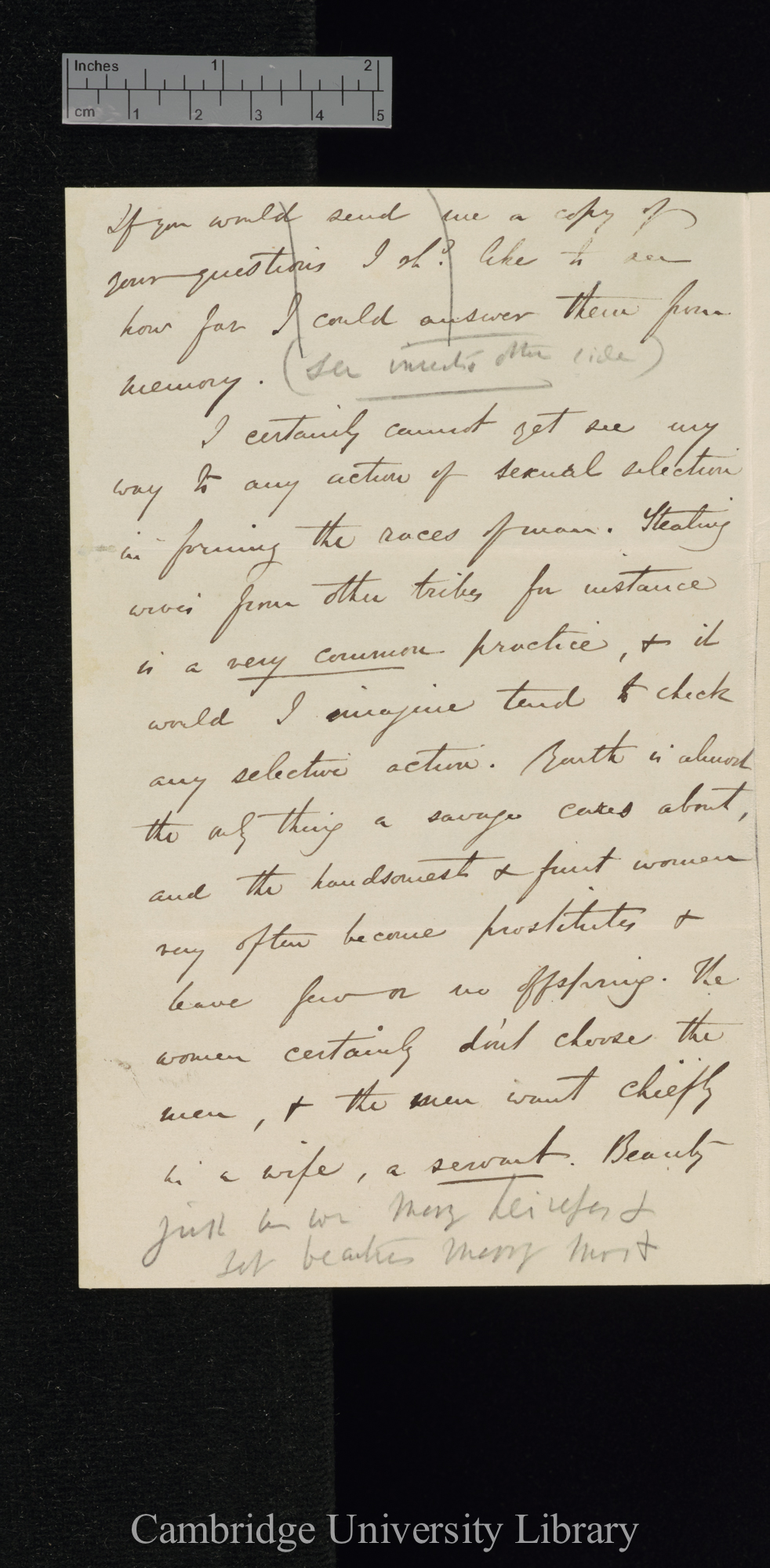 Alfred Russel Wallace to Charles Robert Darwin