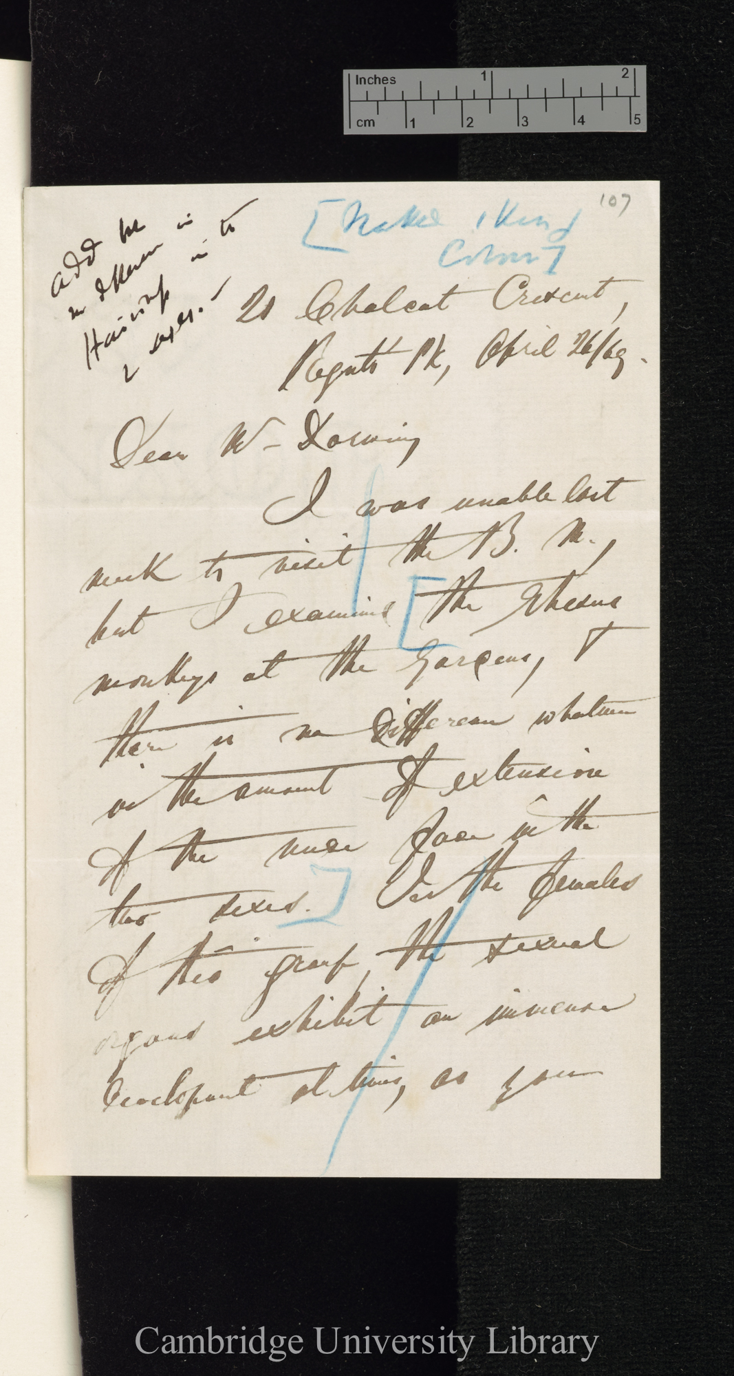 Edward Blyth to Charles Robert Darwin