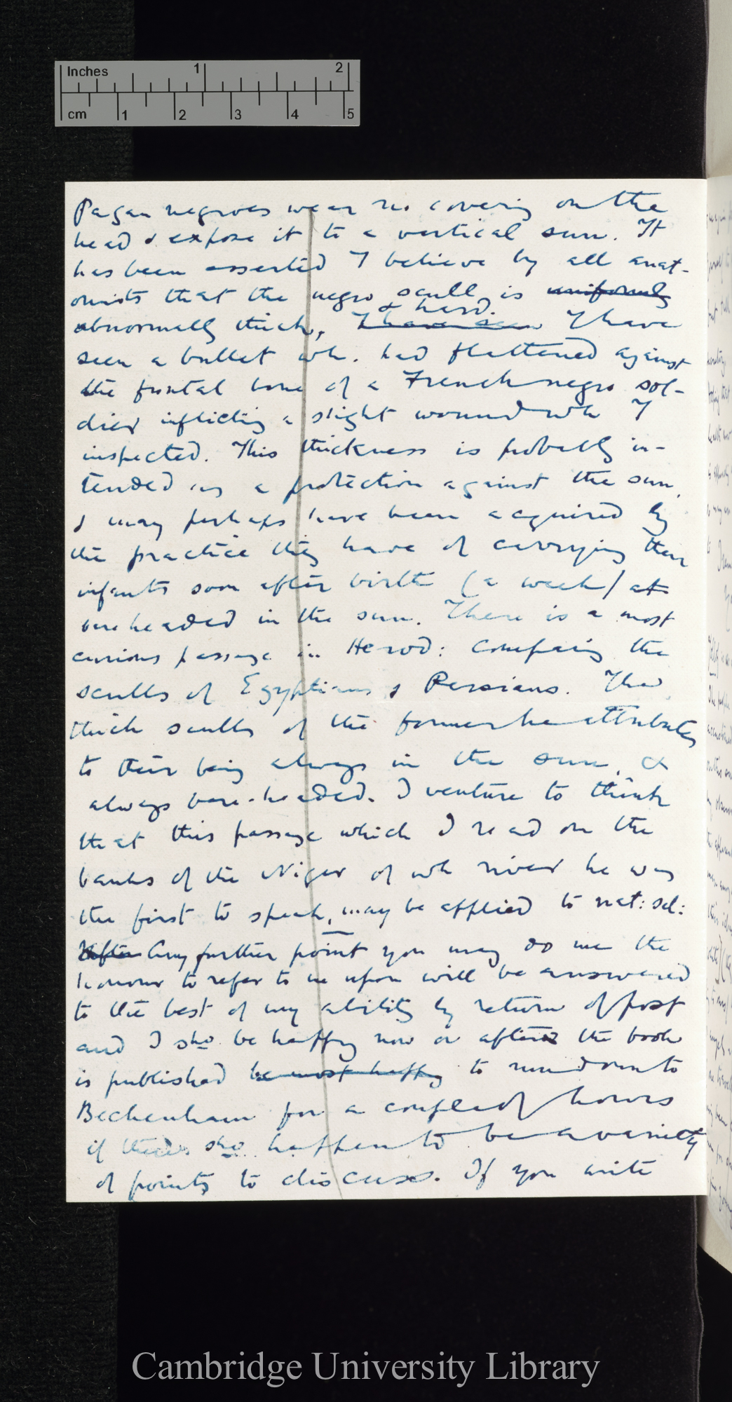 William Winwood Reade to Charles Robert Darwin