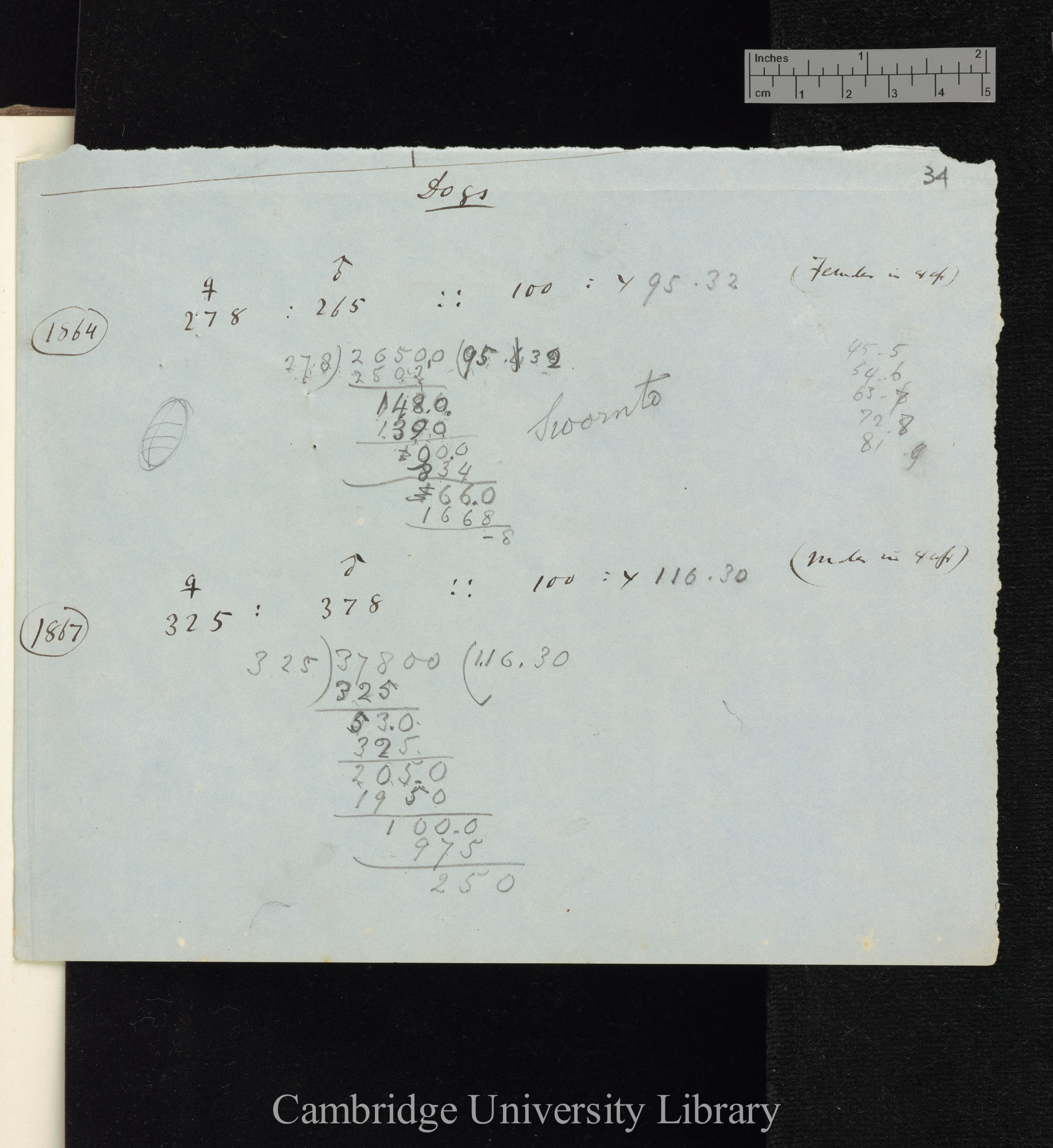 Dogs / 1864 / 1867 [proportions of male and female]