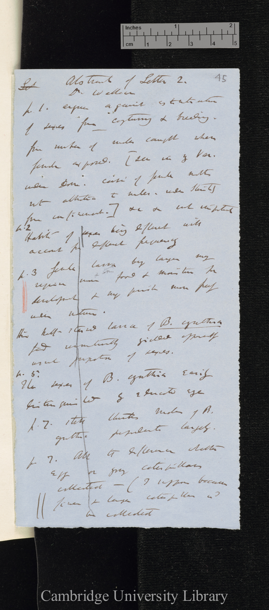 Alexander Wallace to Charles Robert Darwin, note by CD