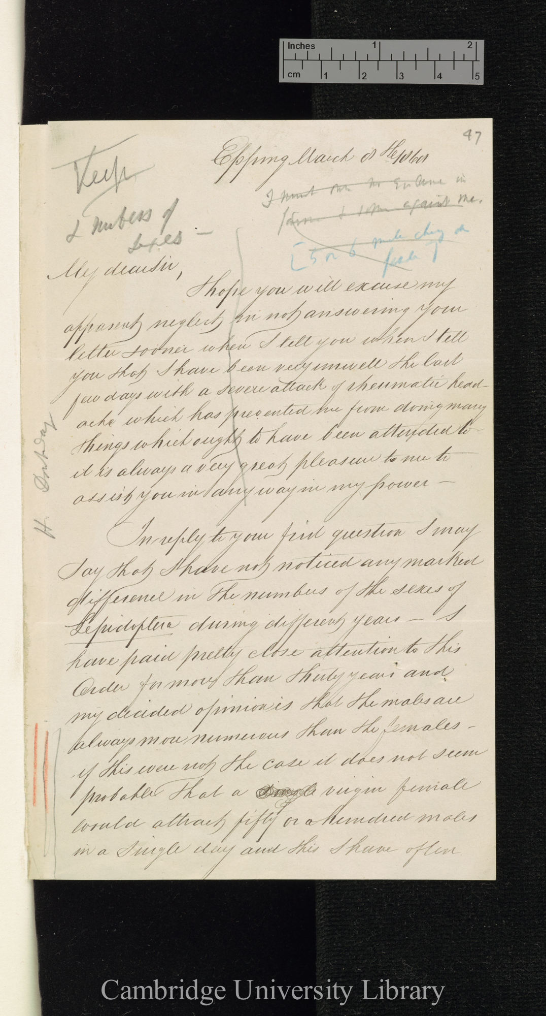 Henry Doubleday to Charles Robert Darwin