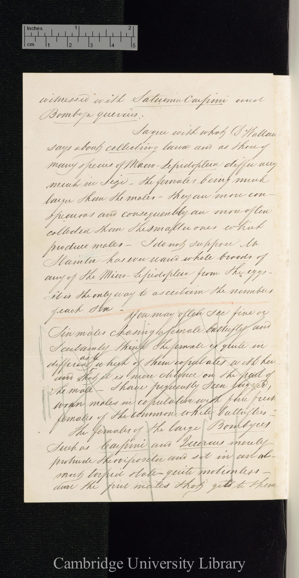 Henry Doubleday to Charles Robert Darwin