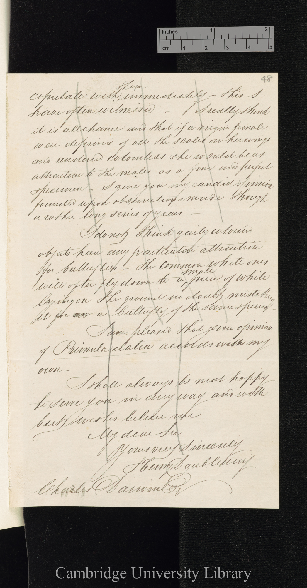 Henry Doubleday to Charles Robert Darwin