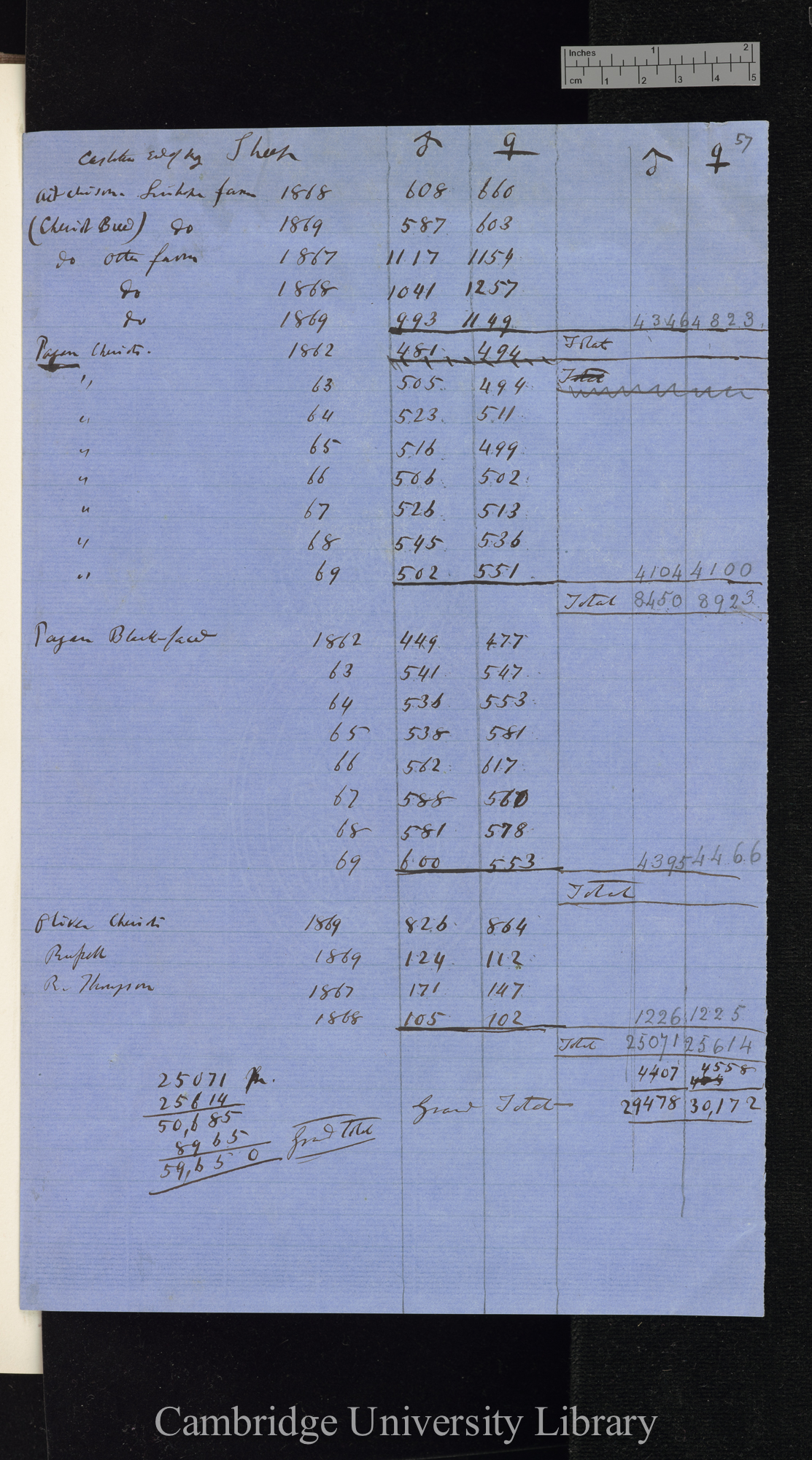 Sheep [numbers of males and females]