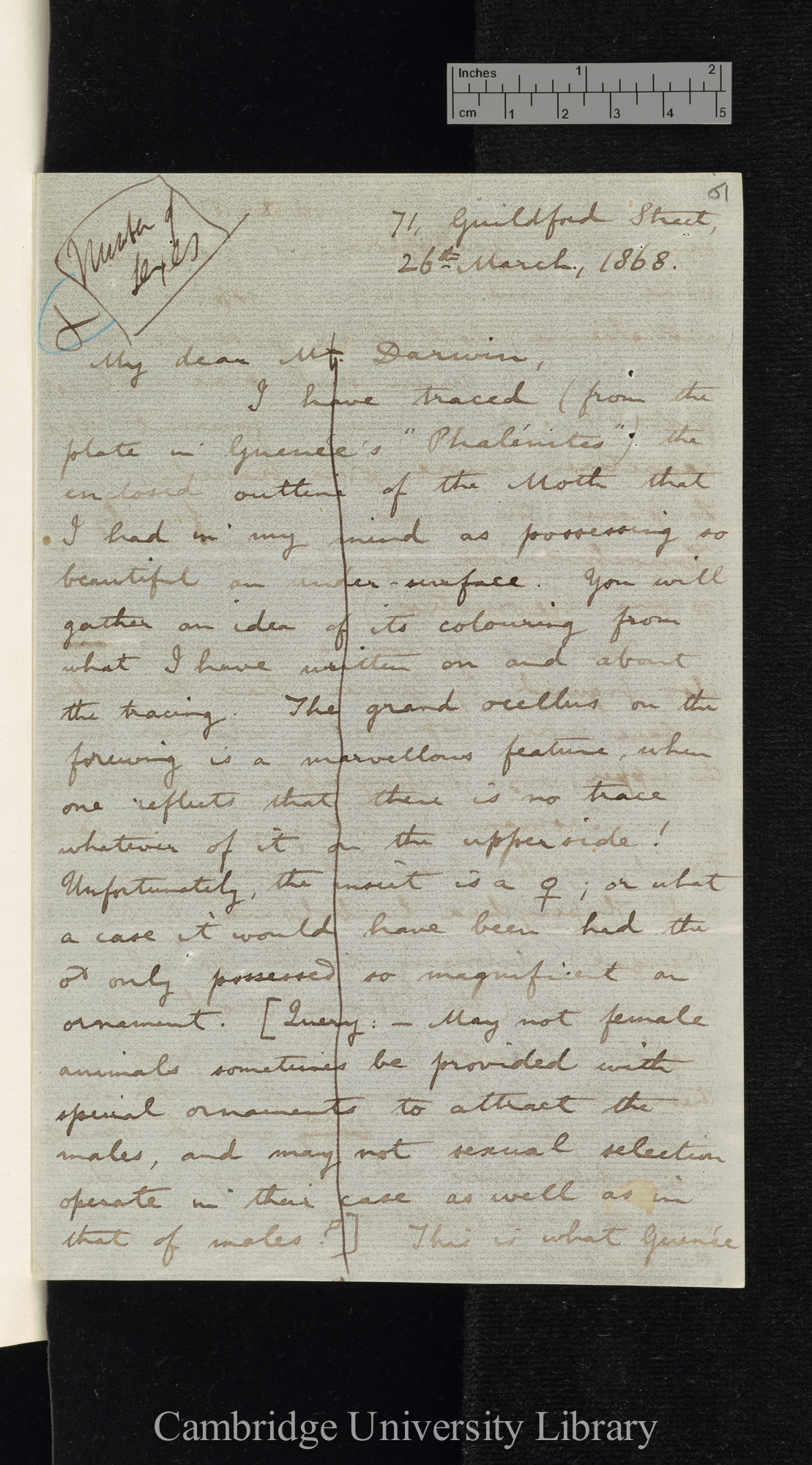 Roland Trimen to Charles Robert Darwin