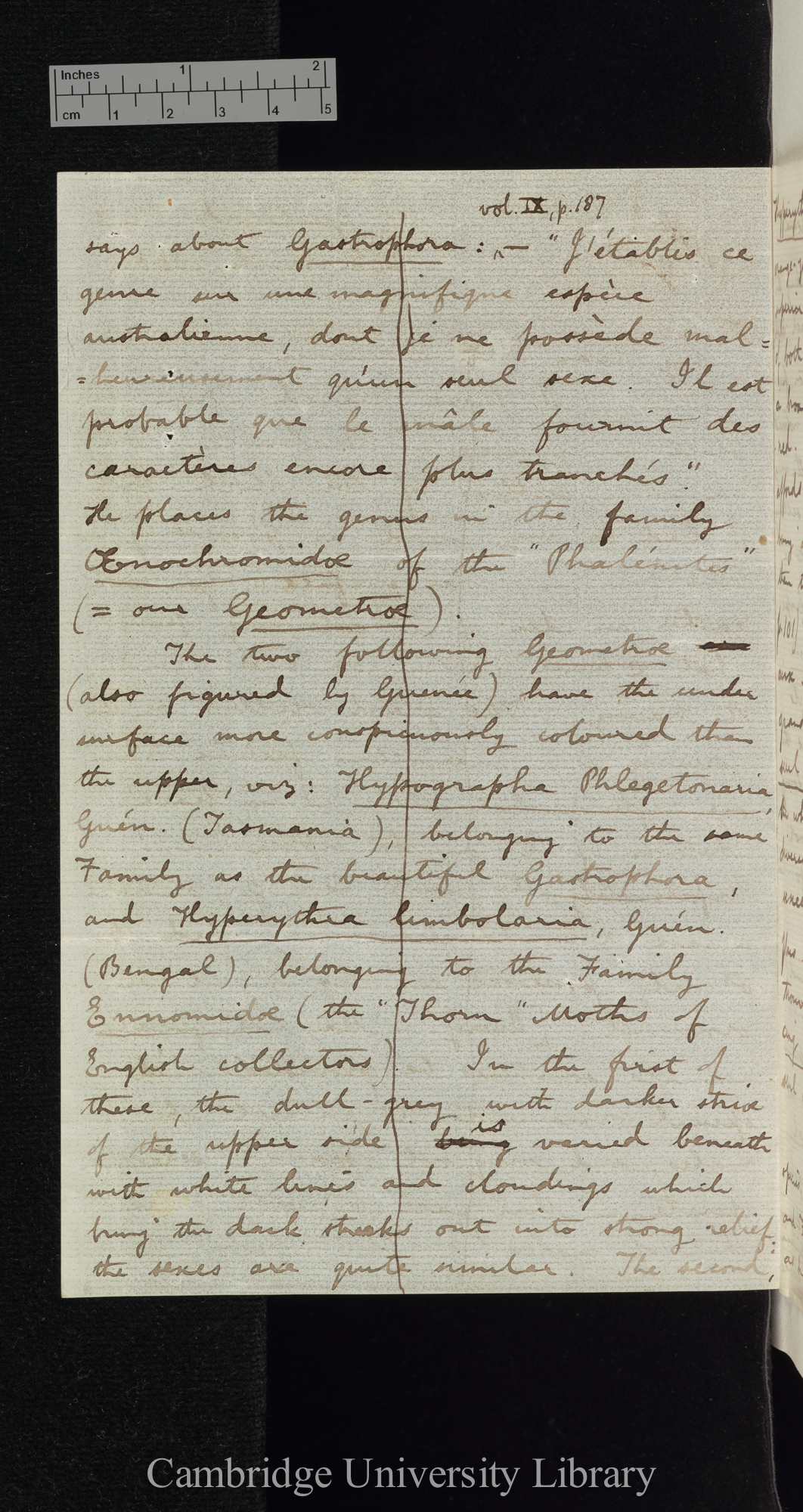 Roland Trimen to Charles Robert Darwin