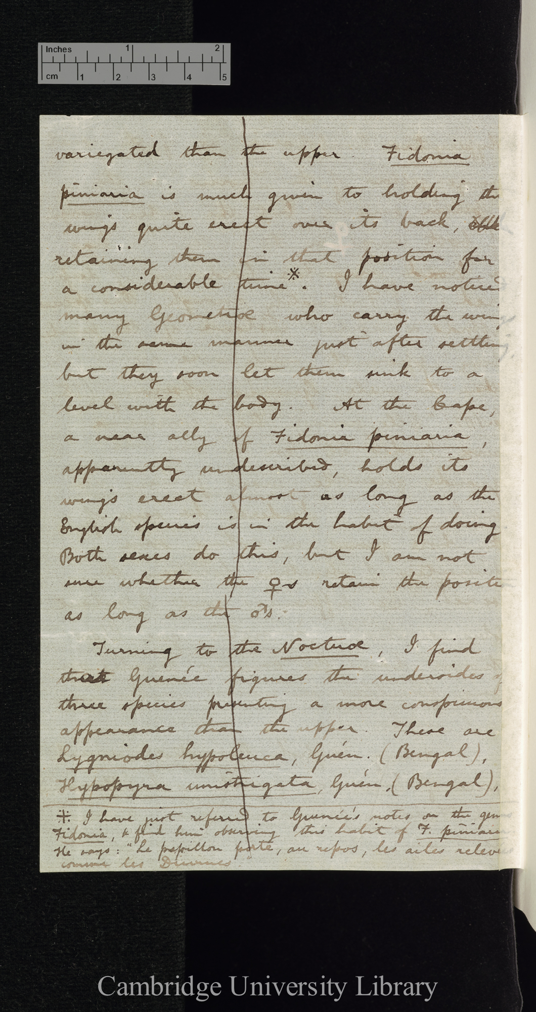 Roland Trimen to Charles Robert Darwin