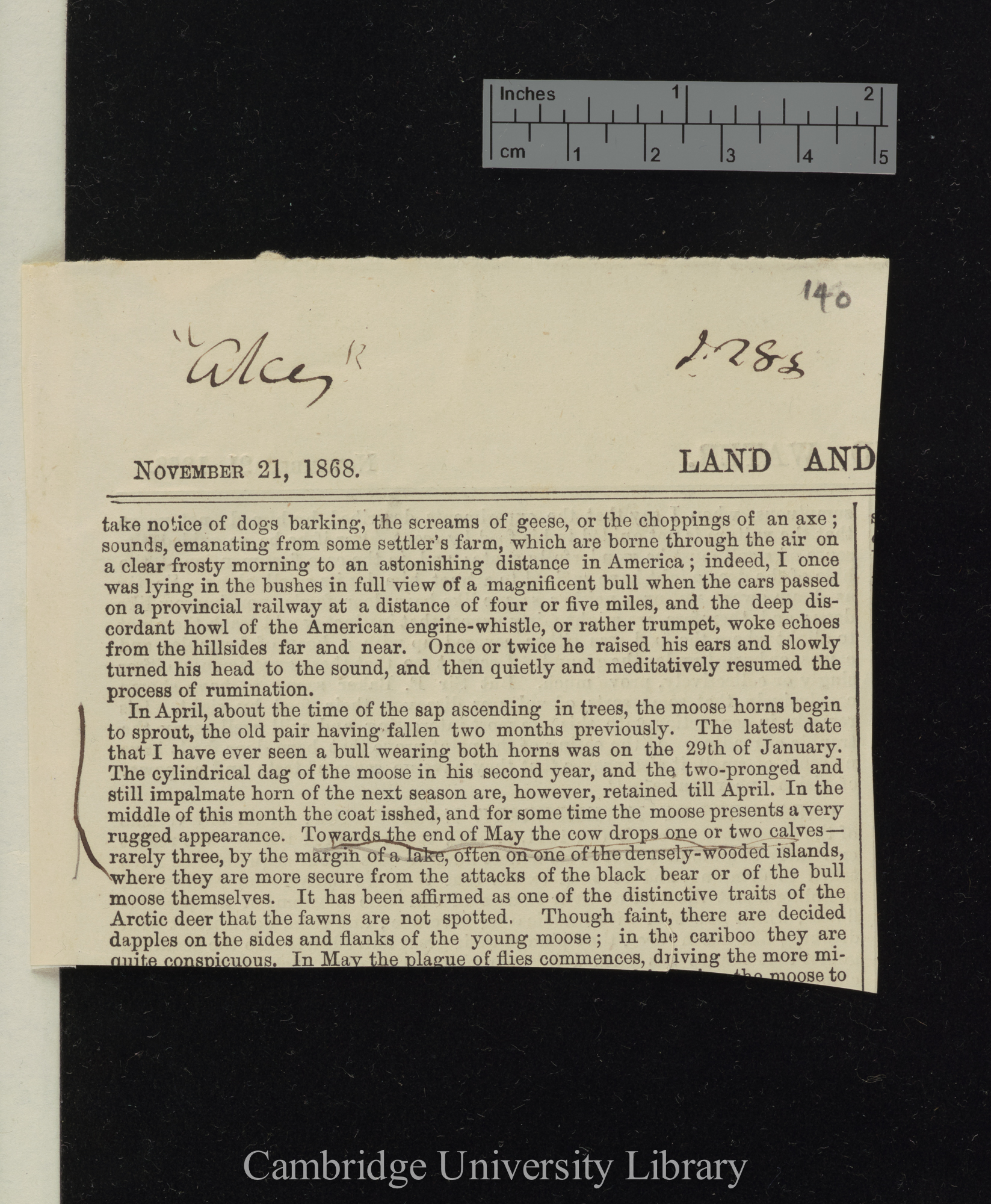 (fragment from) &#39;Land and Water&#39;: 288