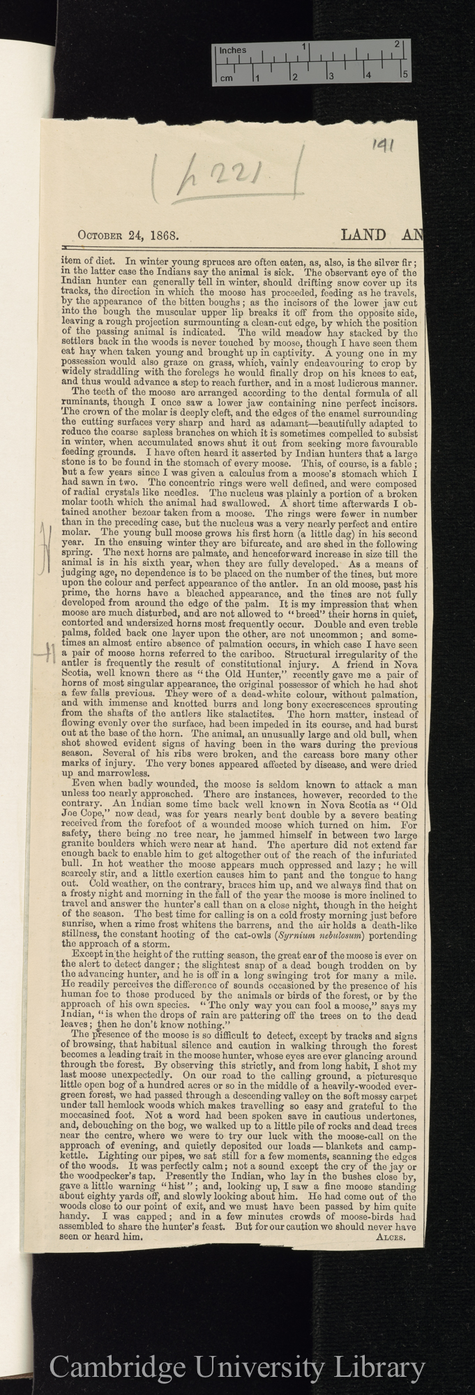 &quot;Alces&quot;. [title unknown] &#39;Land and Water&#39;: 221